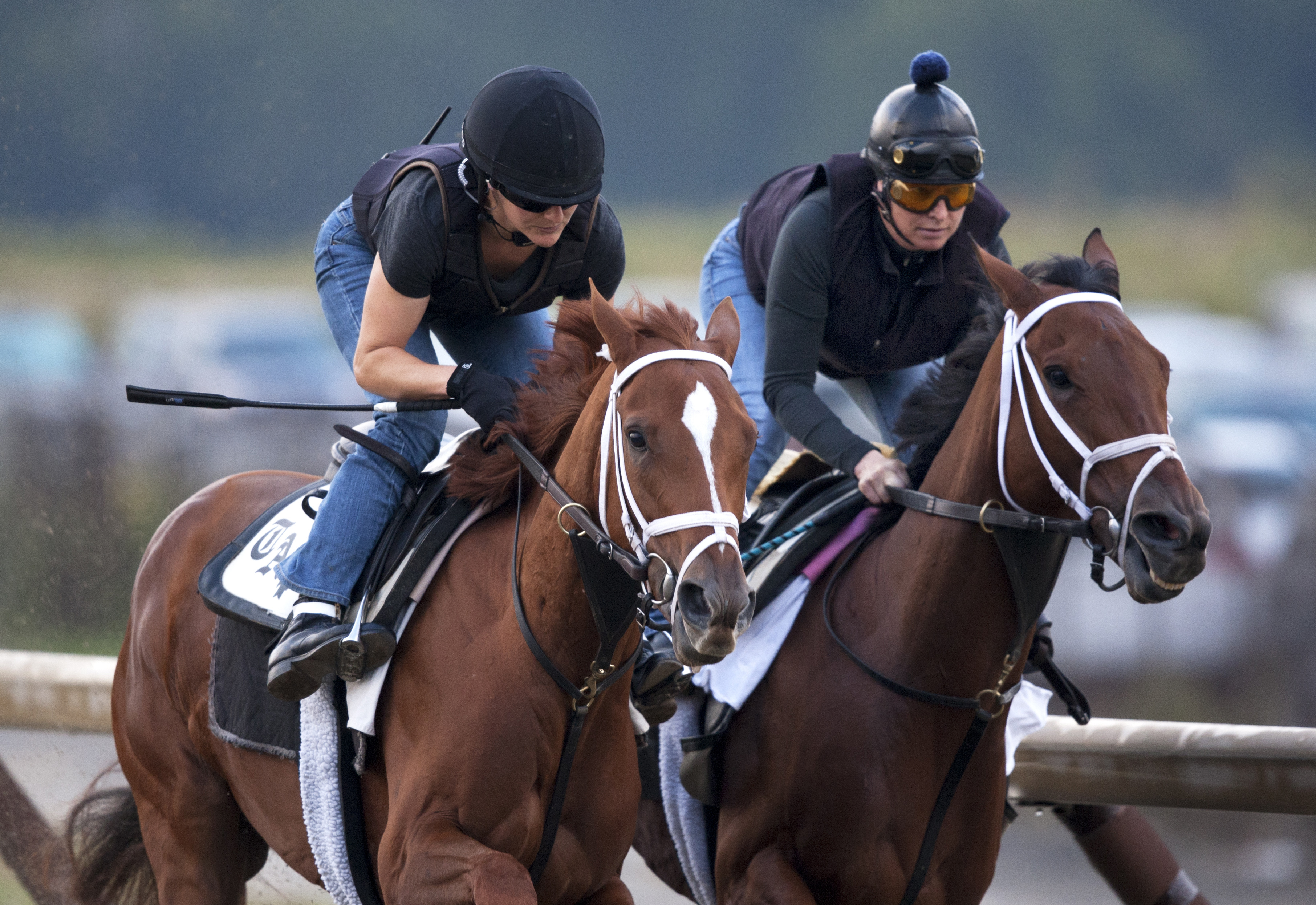 Princess of Sylmar, Authenticity