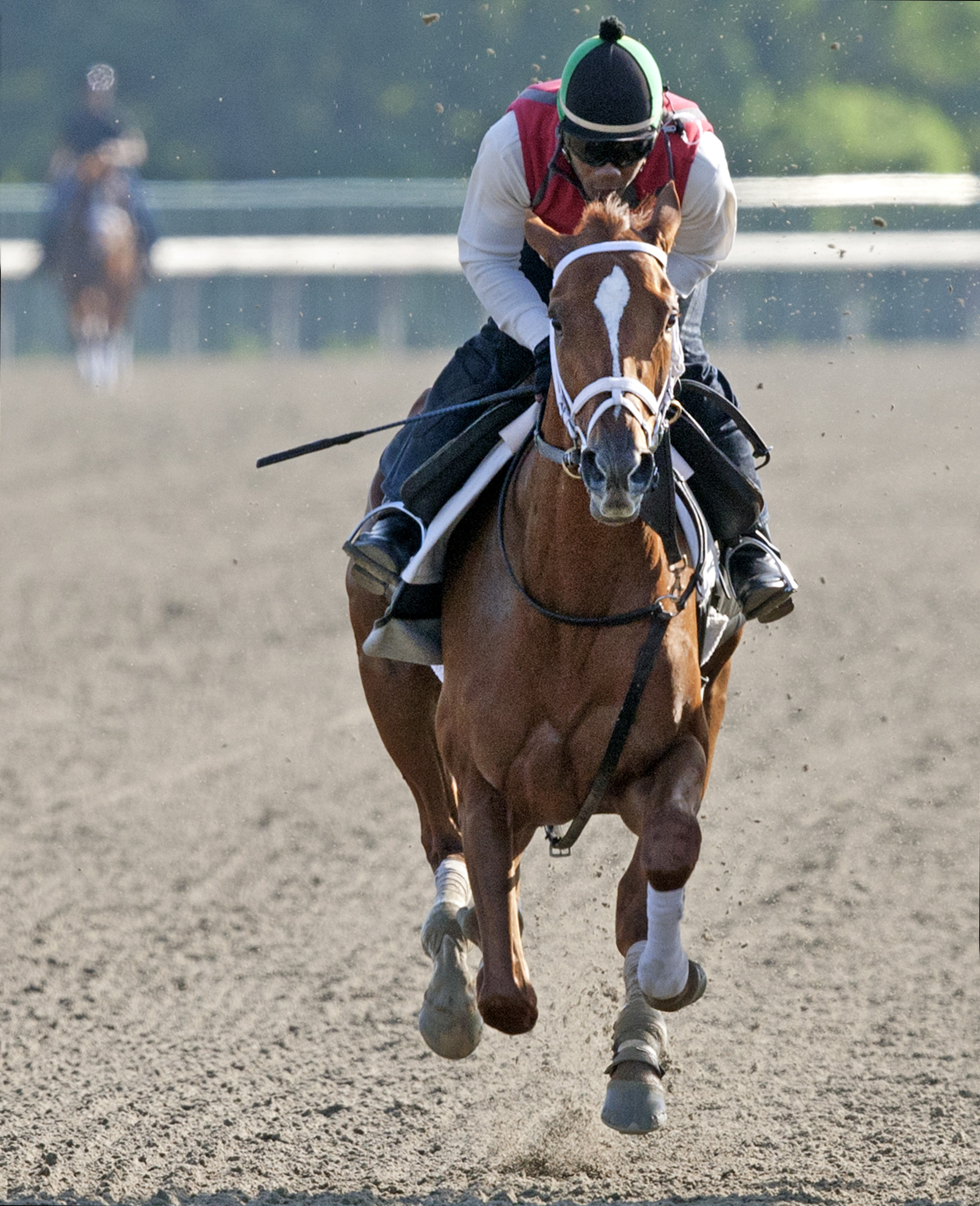 Princess of Sylmar