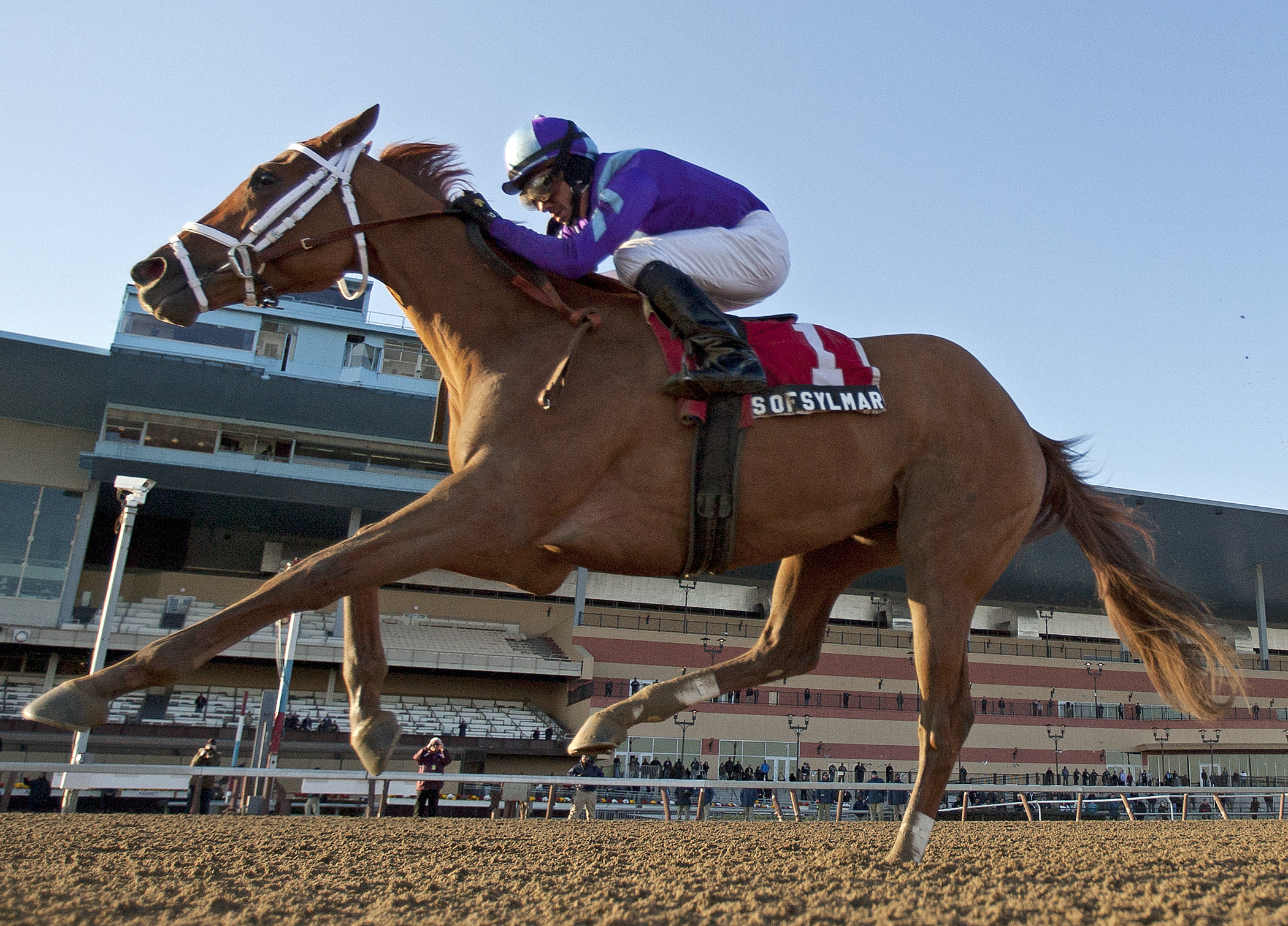 Princess of Sylmar, Busanda