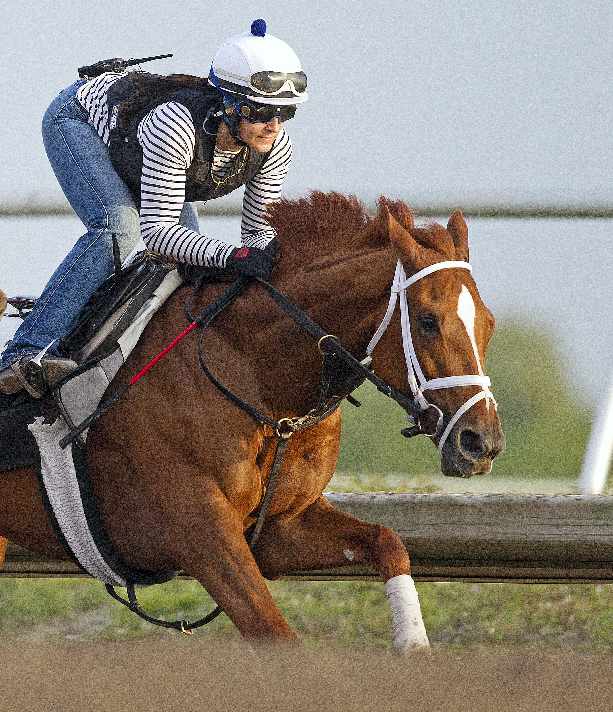 Princess of Sylmar at Palm Meadows
