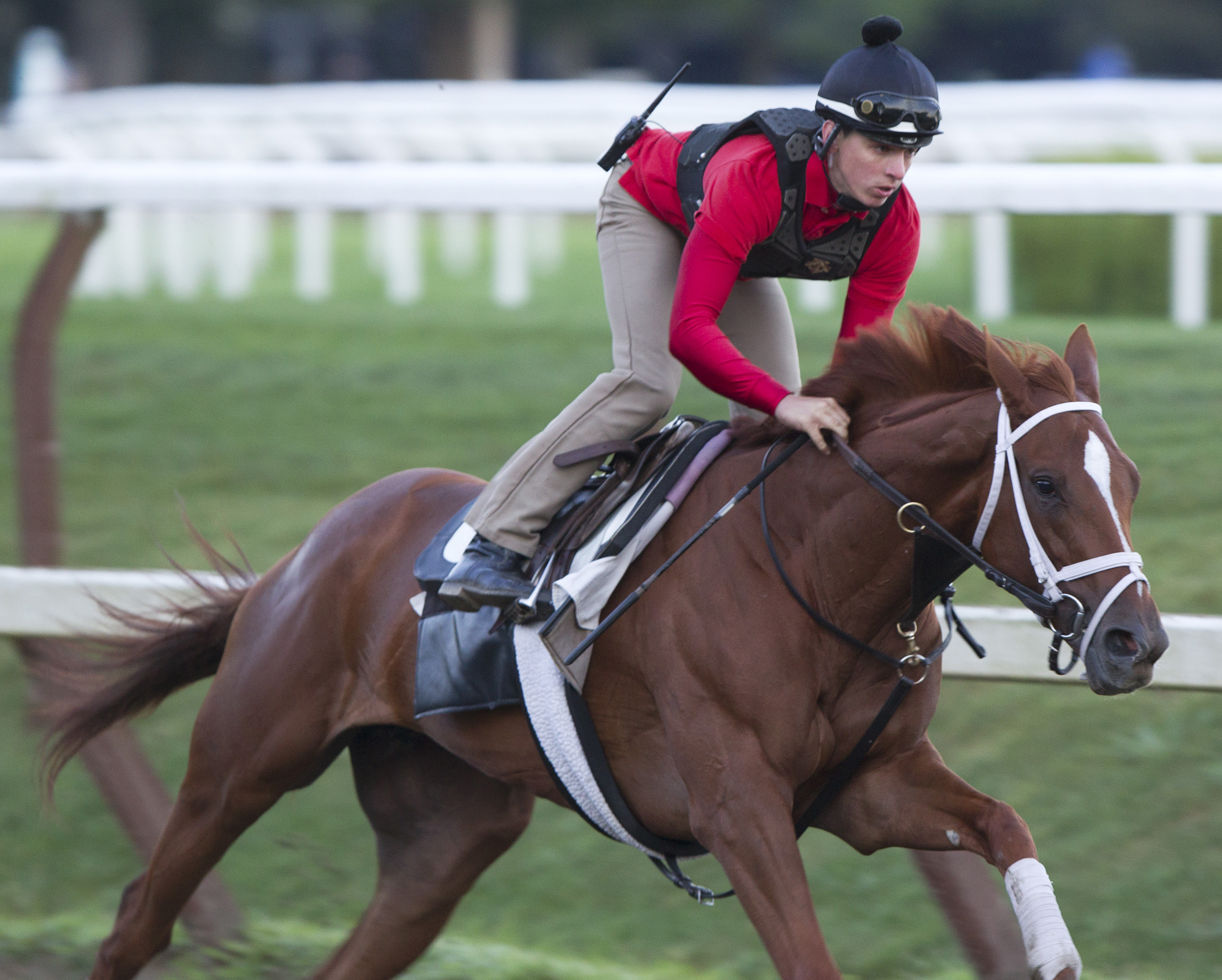Princess of Sylmar