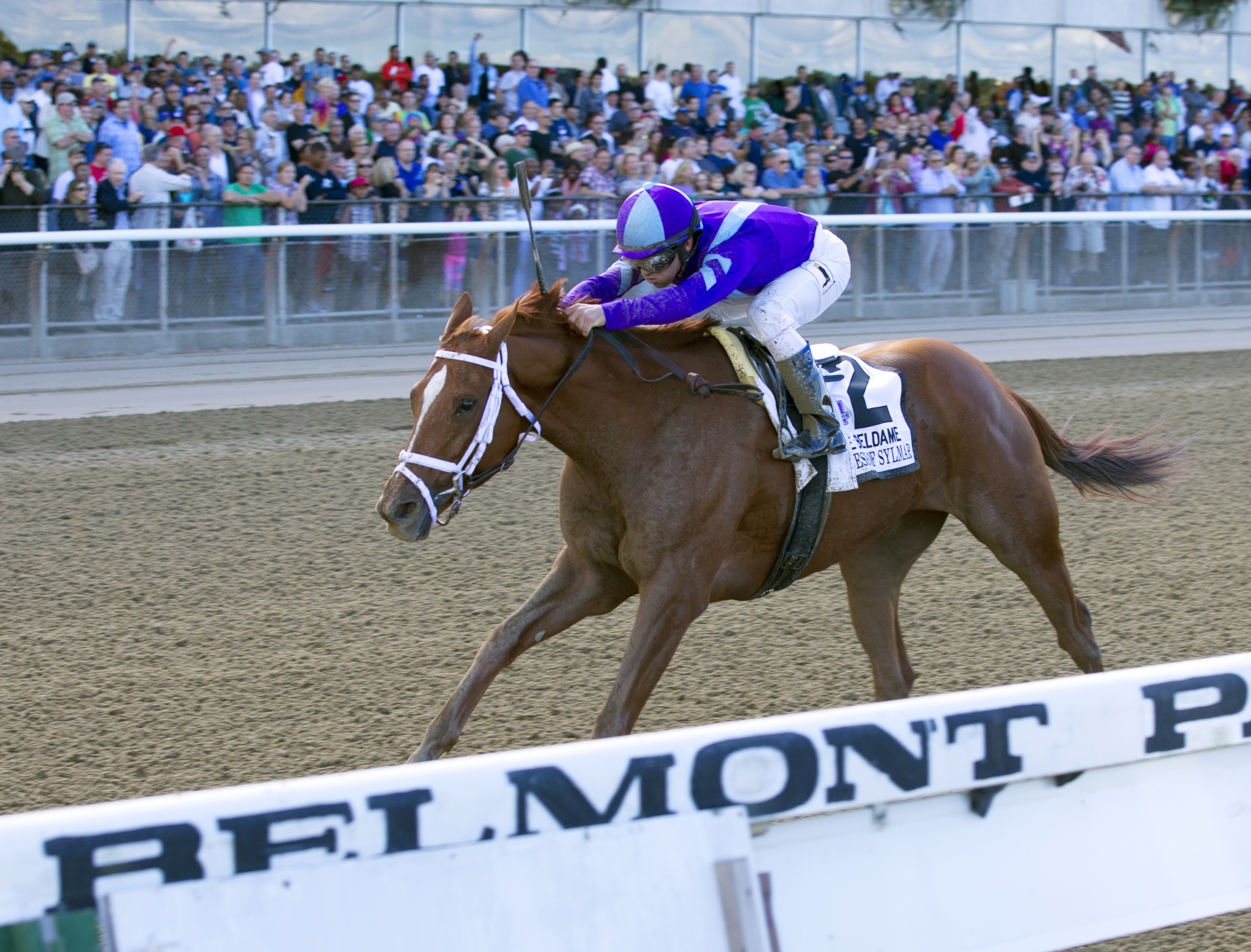 Princess of Sylmar wins the Beldame