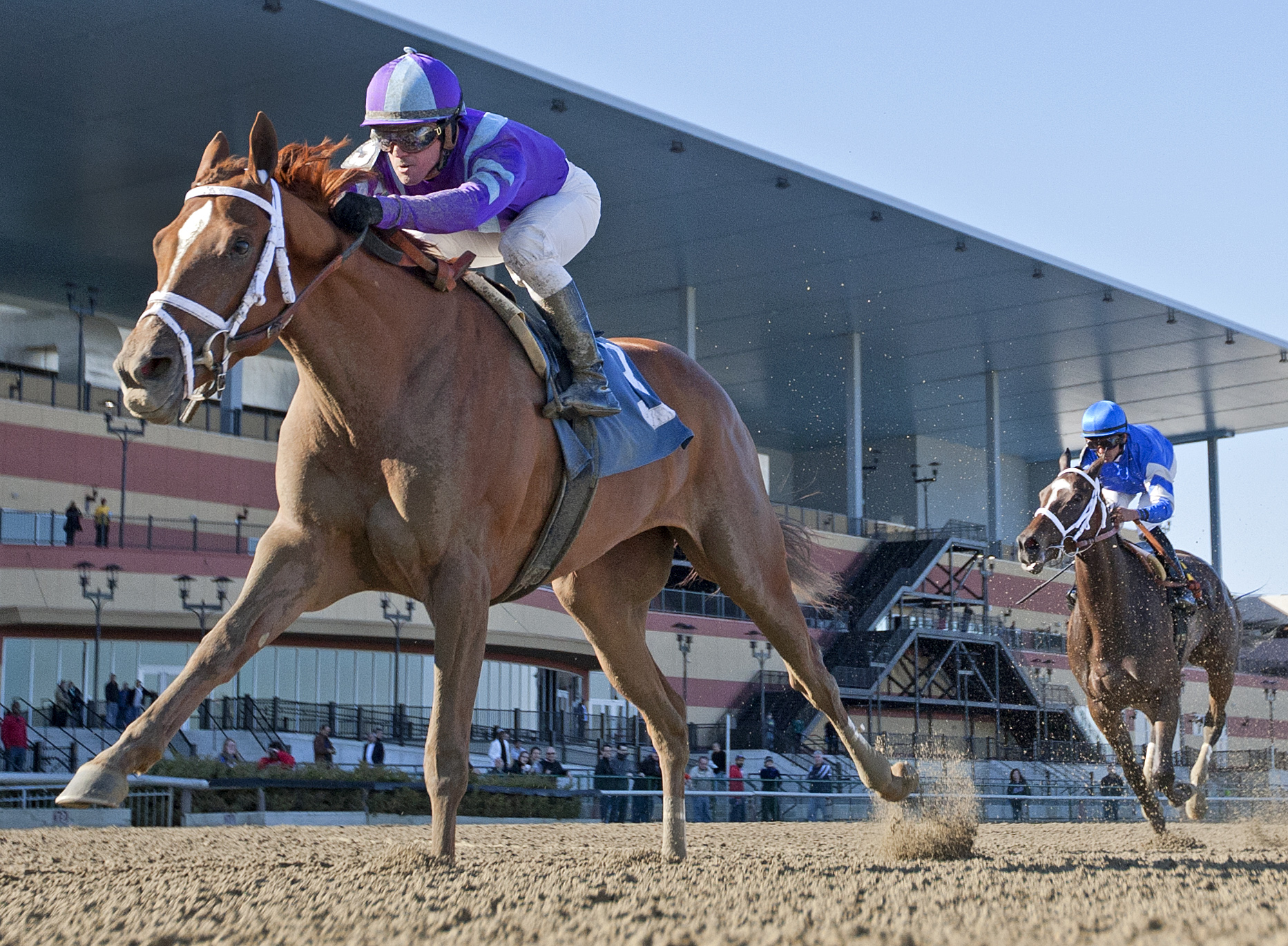 Princess of Sylmar 4-6-2014