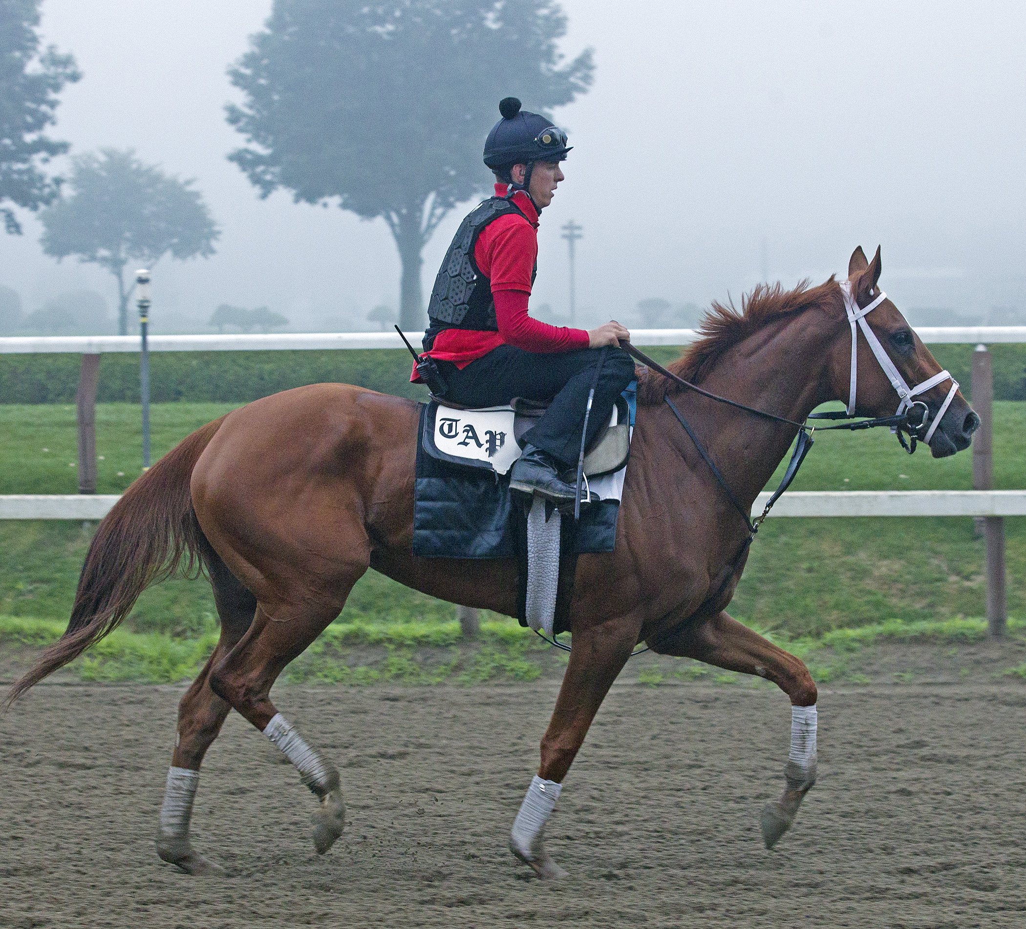 Princess of Sylmar