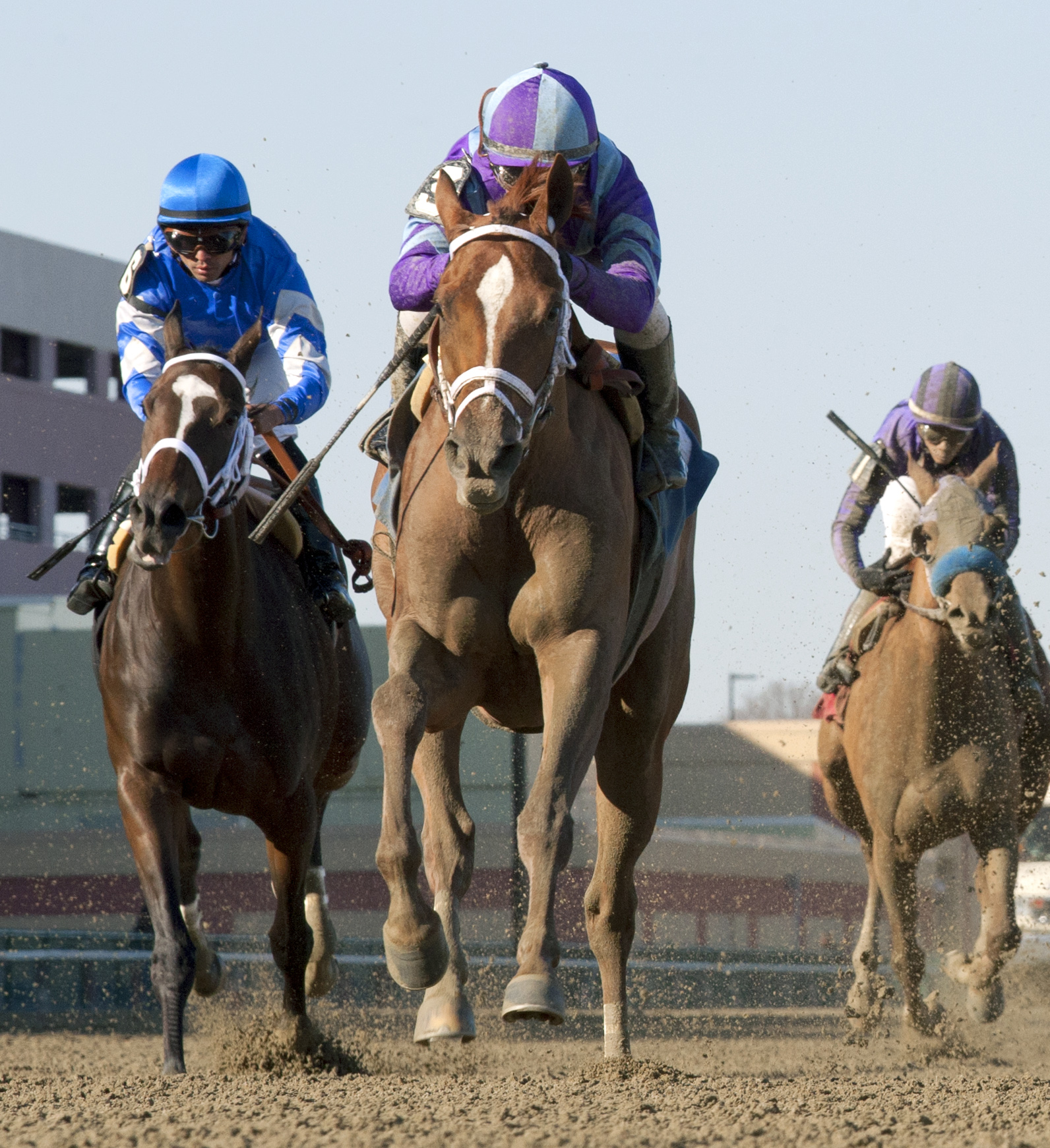 Princess of Sylmar wins the Cat Cay