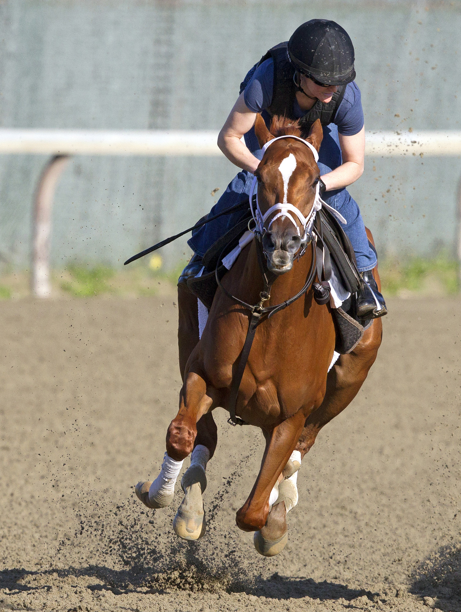 Princess of Sylmar trains on May 24