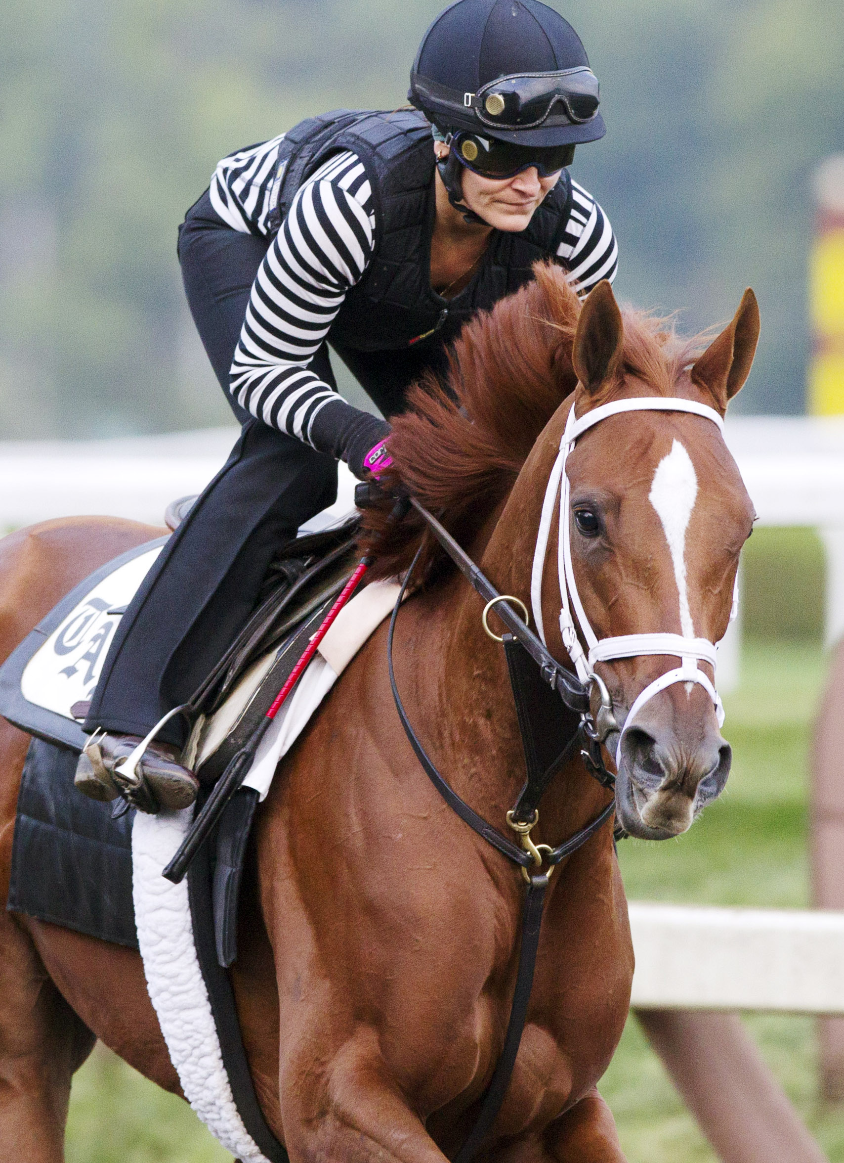 Princess of Sylmar works on Aug. 20