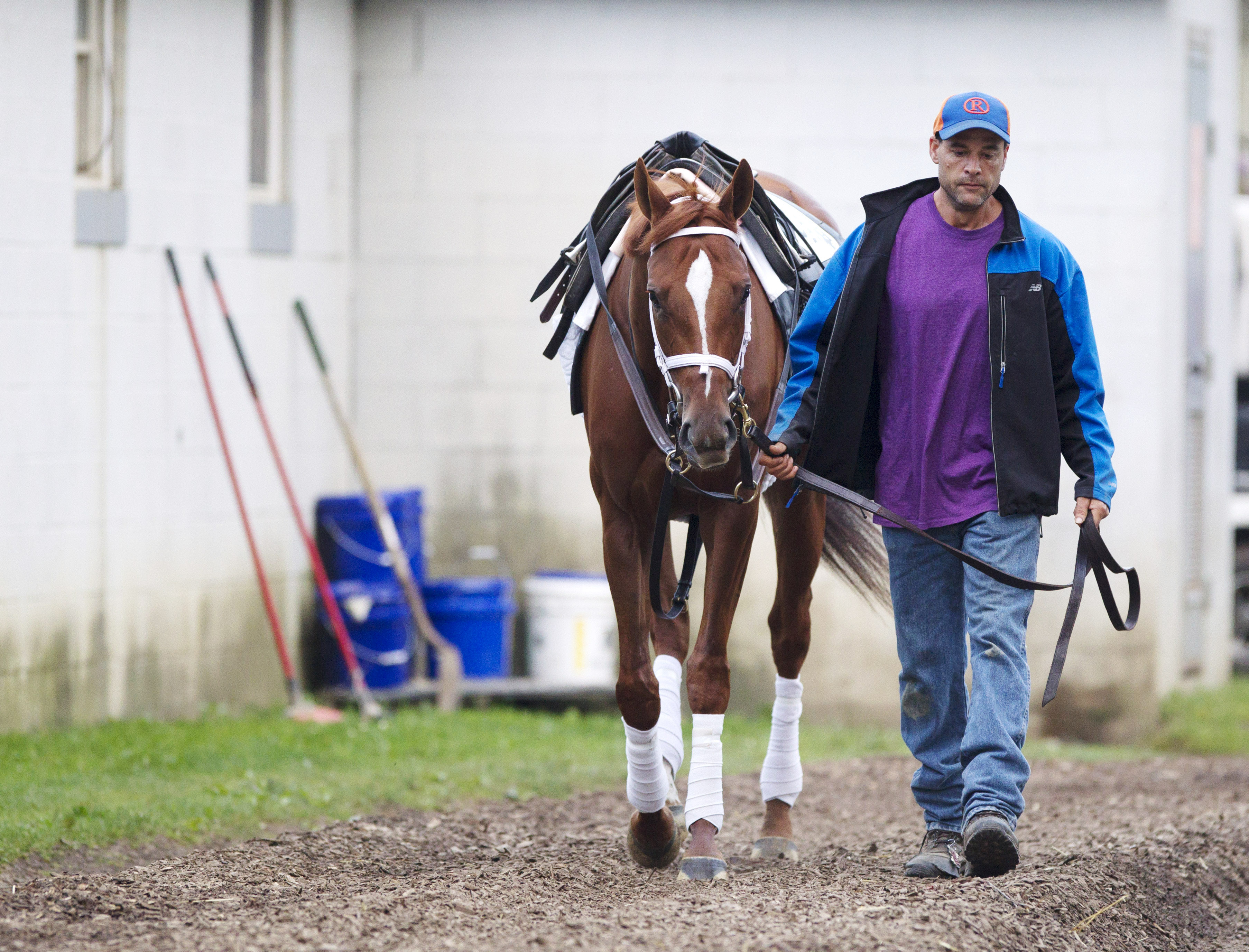Princess of Sylmar at Saratoga on Aug. 20