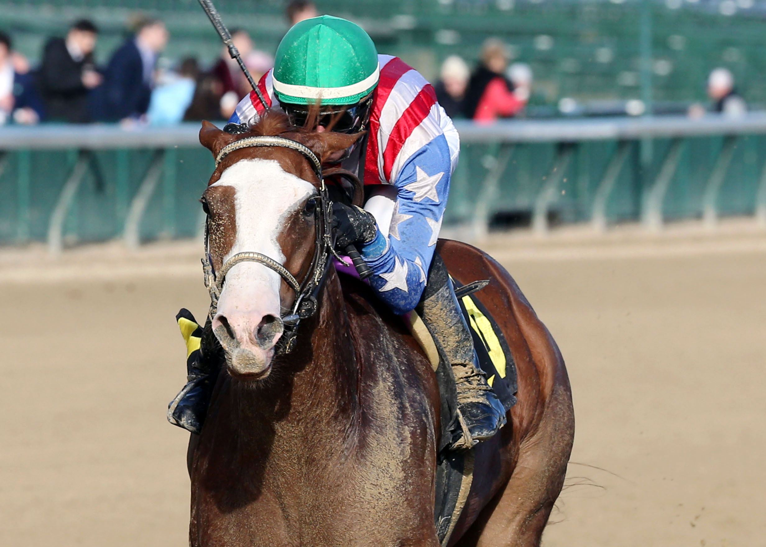 Princess Causeway wins a Nov. 9 allowance race