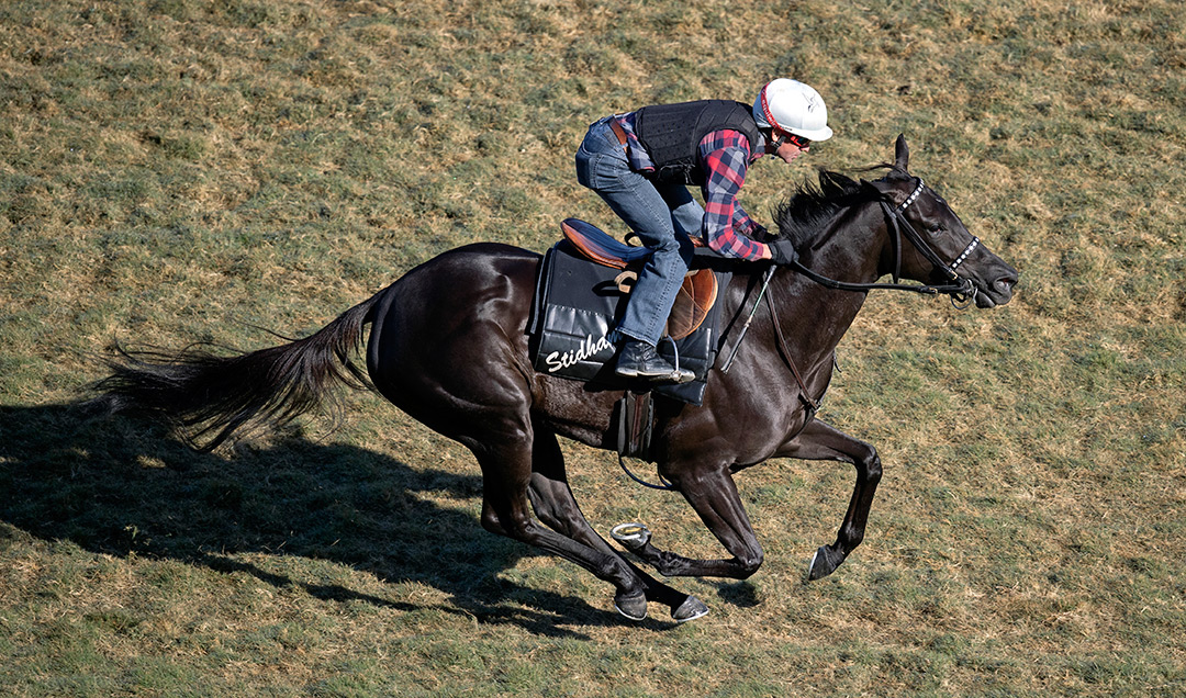 Princess Grace trains at Del Mar on Nov. 21