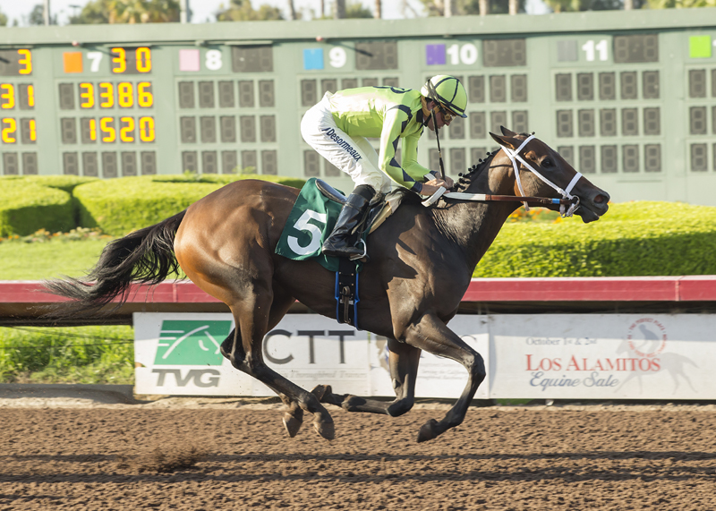 Princess Karen wins the 2017 Beverly Lewis Stakes