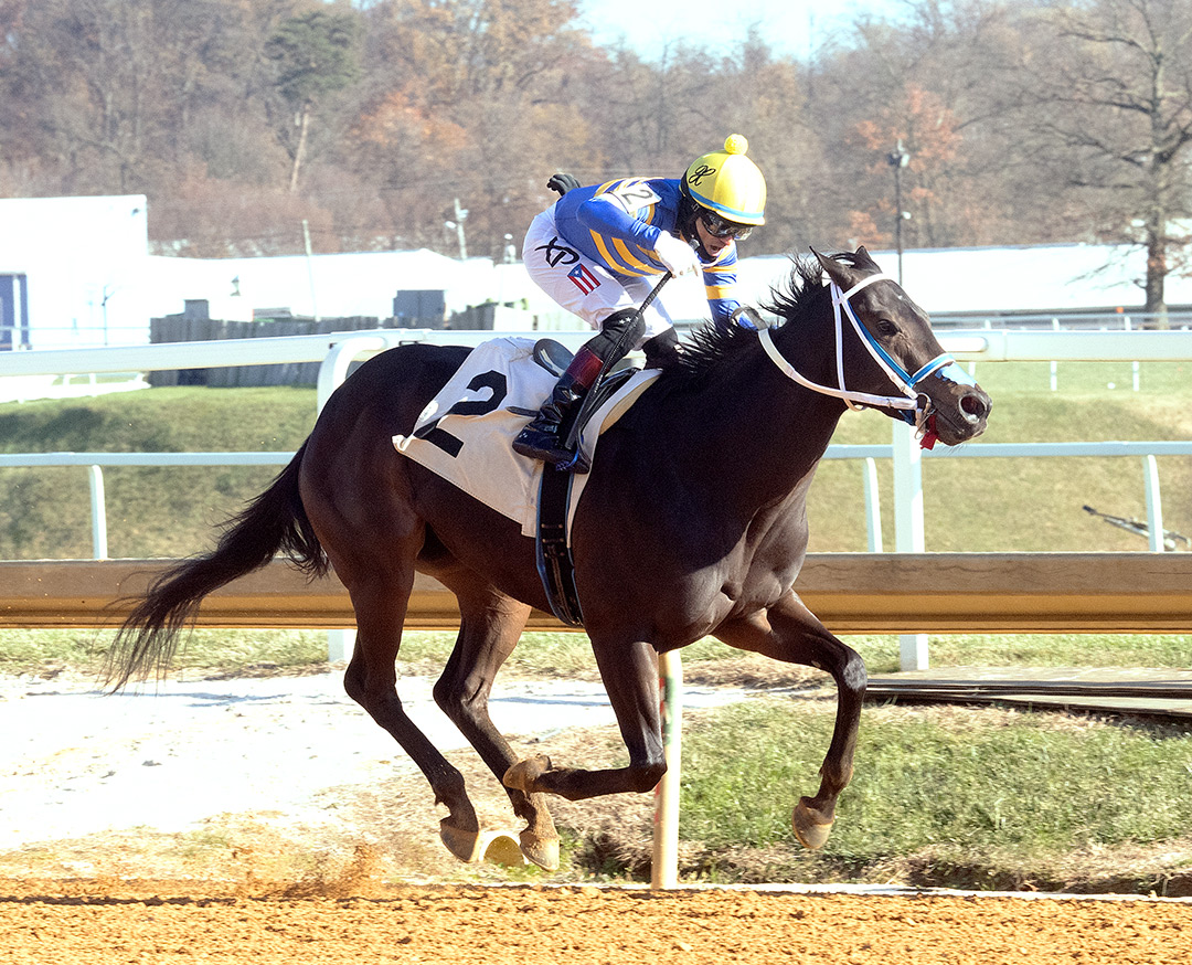 Princess Kokachin wins the 2021 Politely Stakes at Laurel Park
