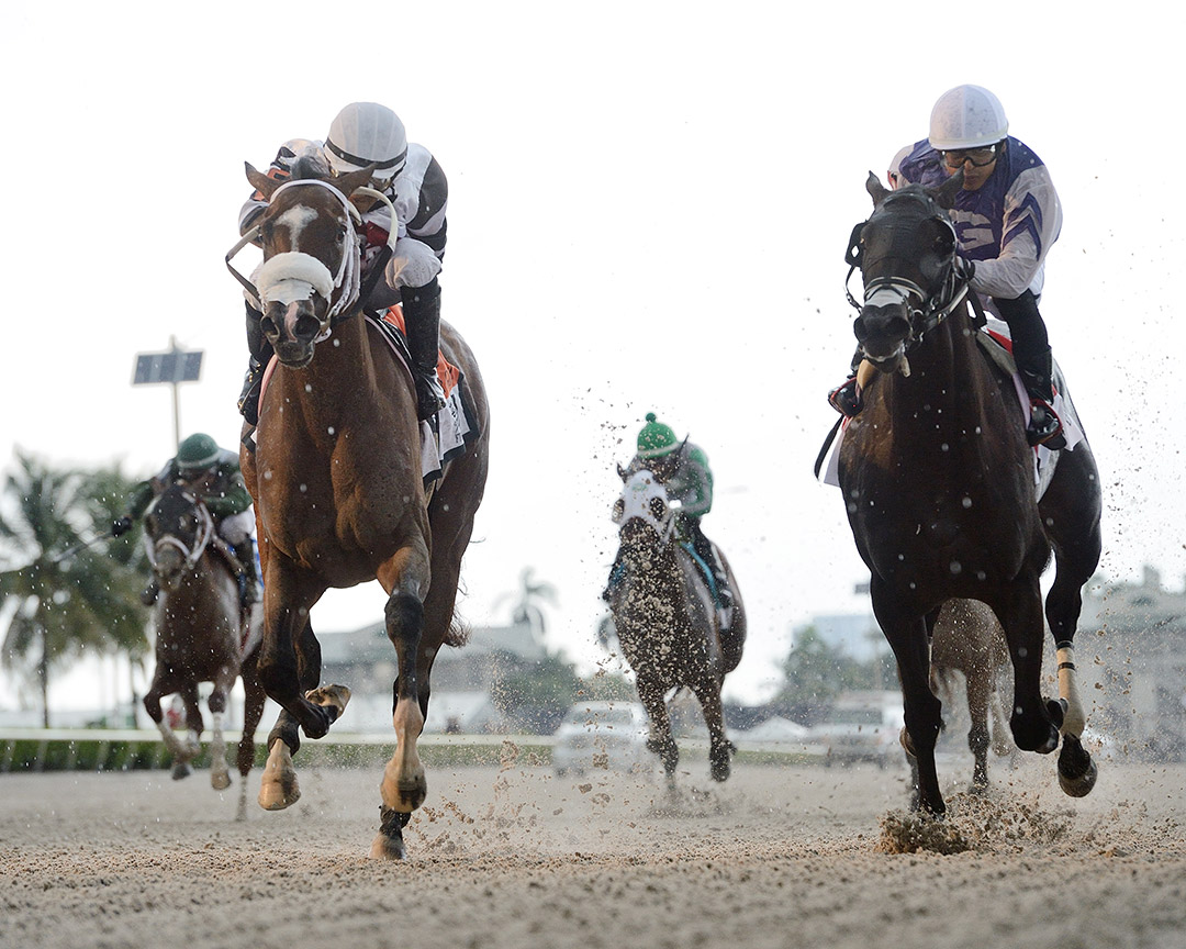 Restofthestory (right) finishes second in the 2020 My Dear Girl Stakes at Gulfstream Park