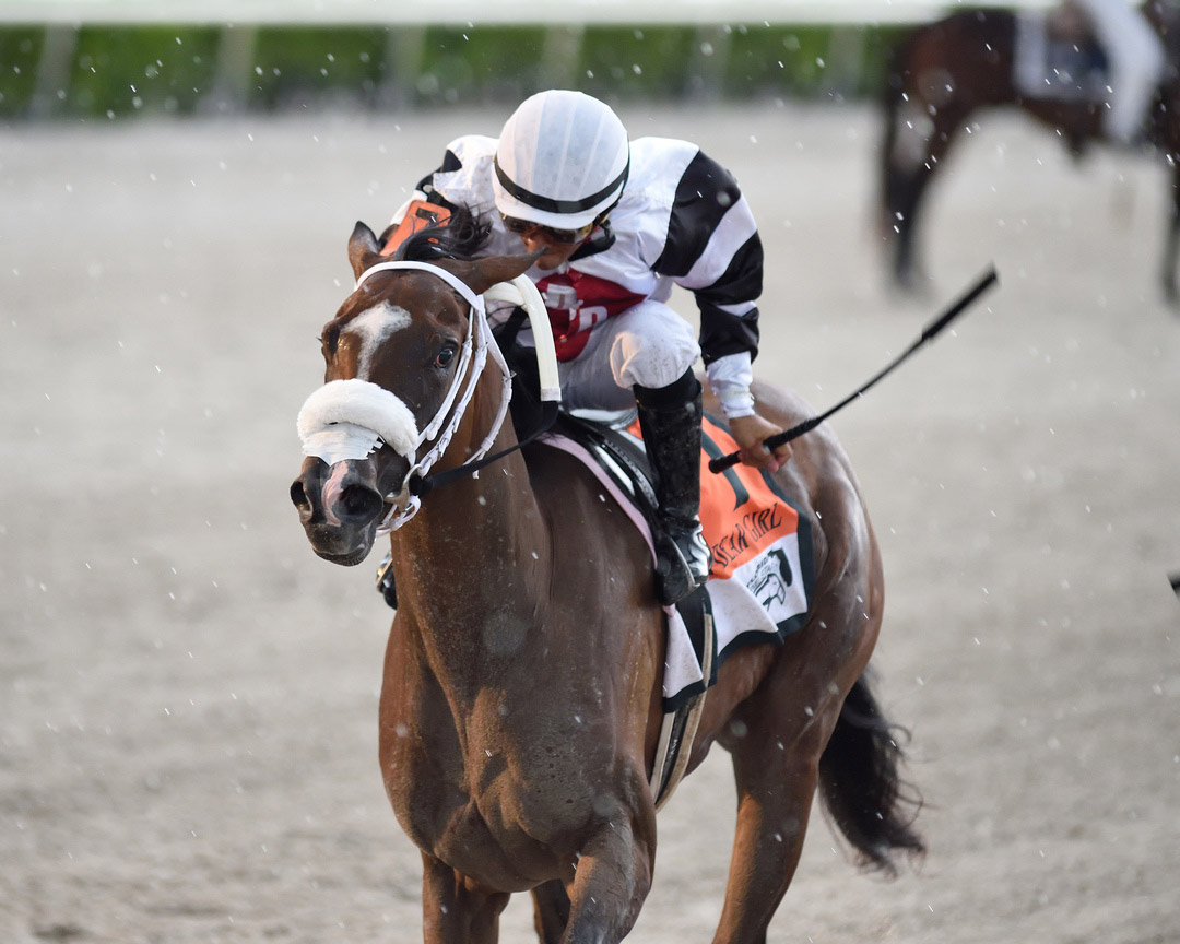 Princess Secret wins the 2020 My Dear Girl Stakes at Gulfstream Park