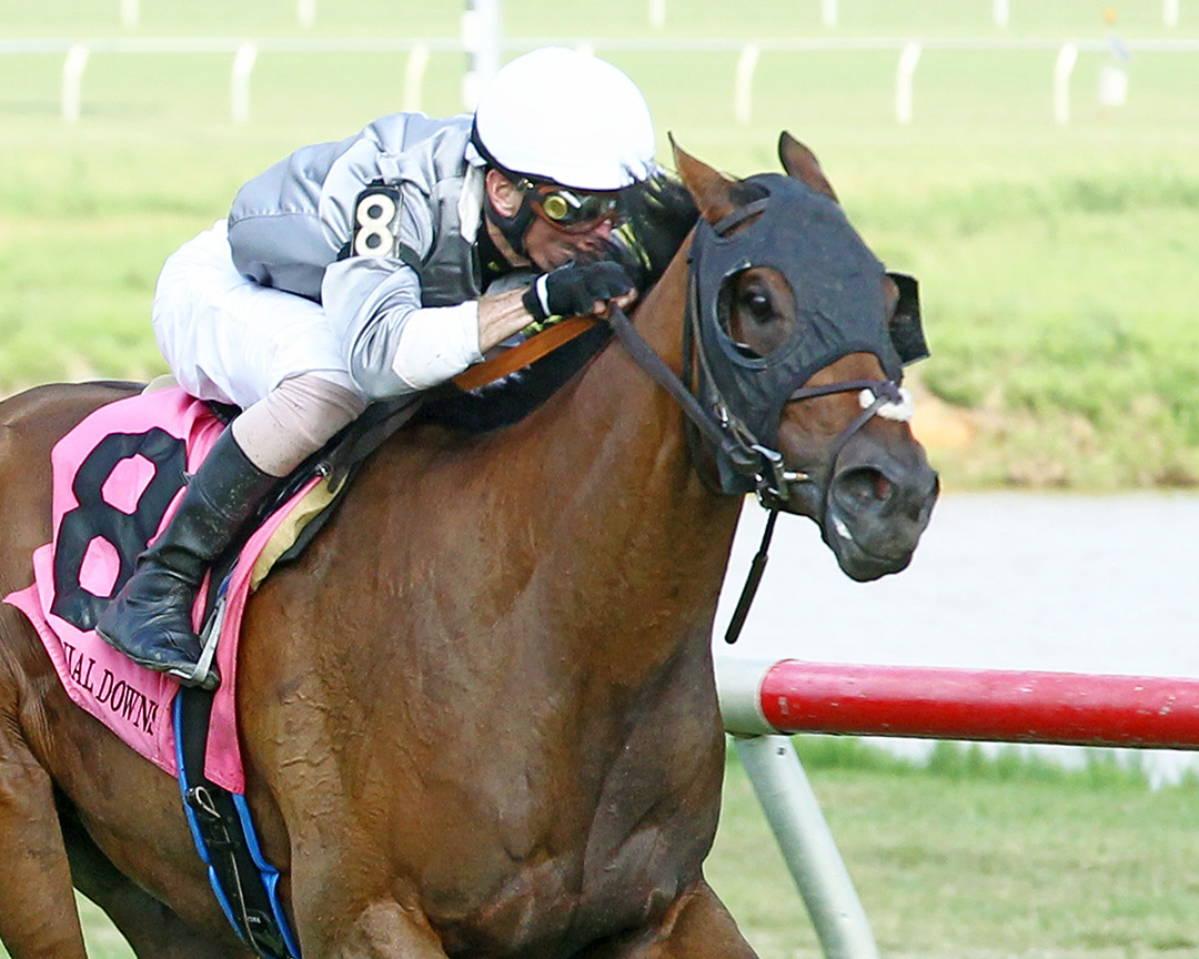 Princess Theorem wins the 2021 Van Clief Stakes at Colonial Downs