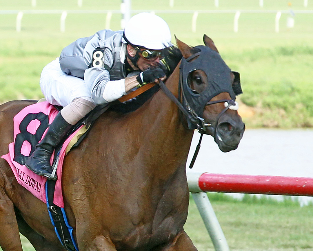 Princess Theorem wins the 2021 Van Clief Stakes at Colonial Downs
