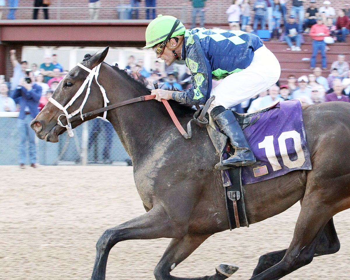 Princessof the Nyl wins a March 15 maiden race