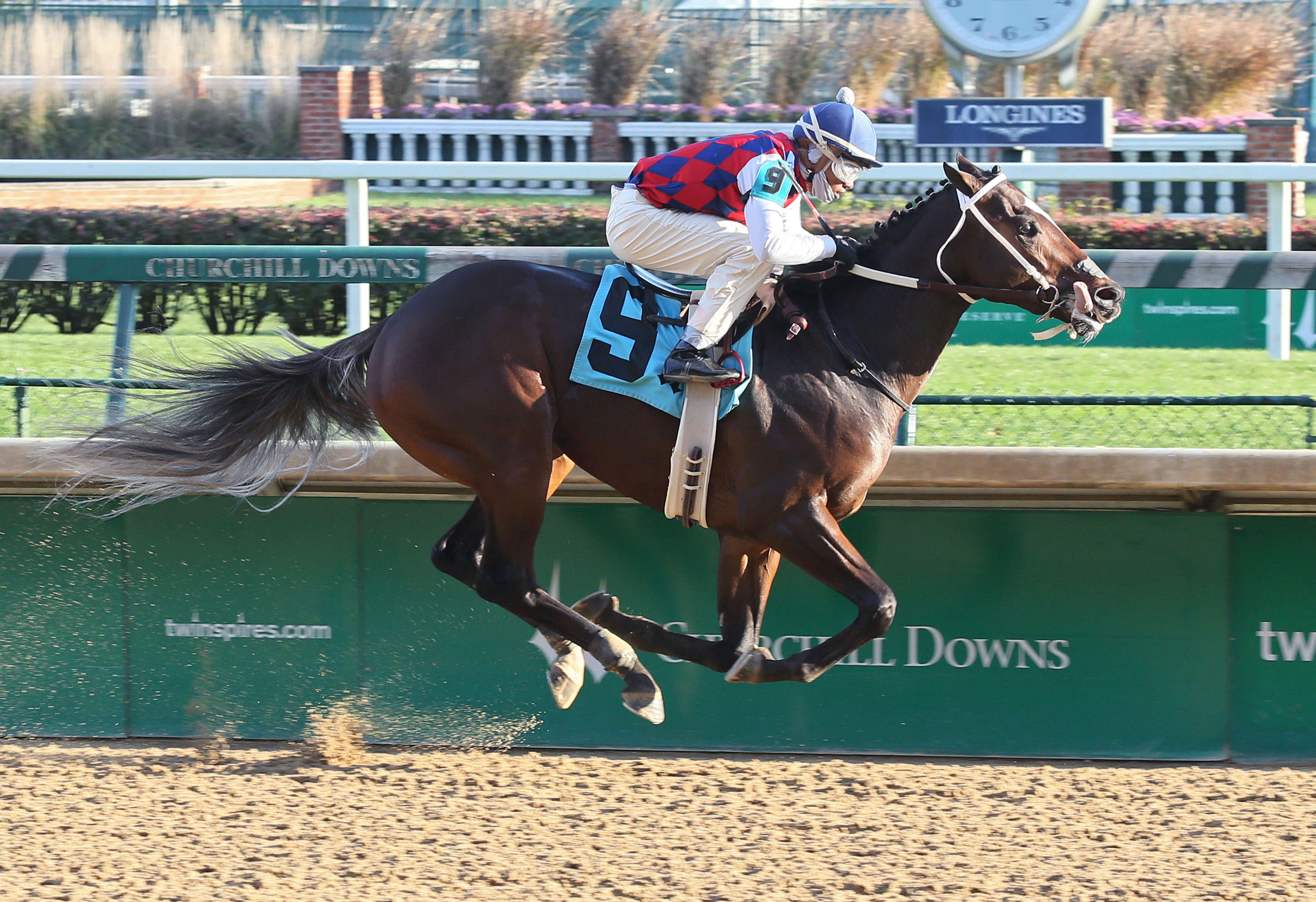 Principe Guilherme wins a Nov. 10 maiden race
