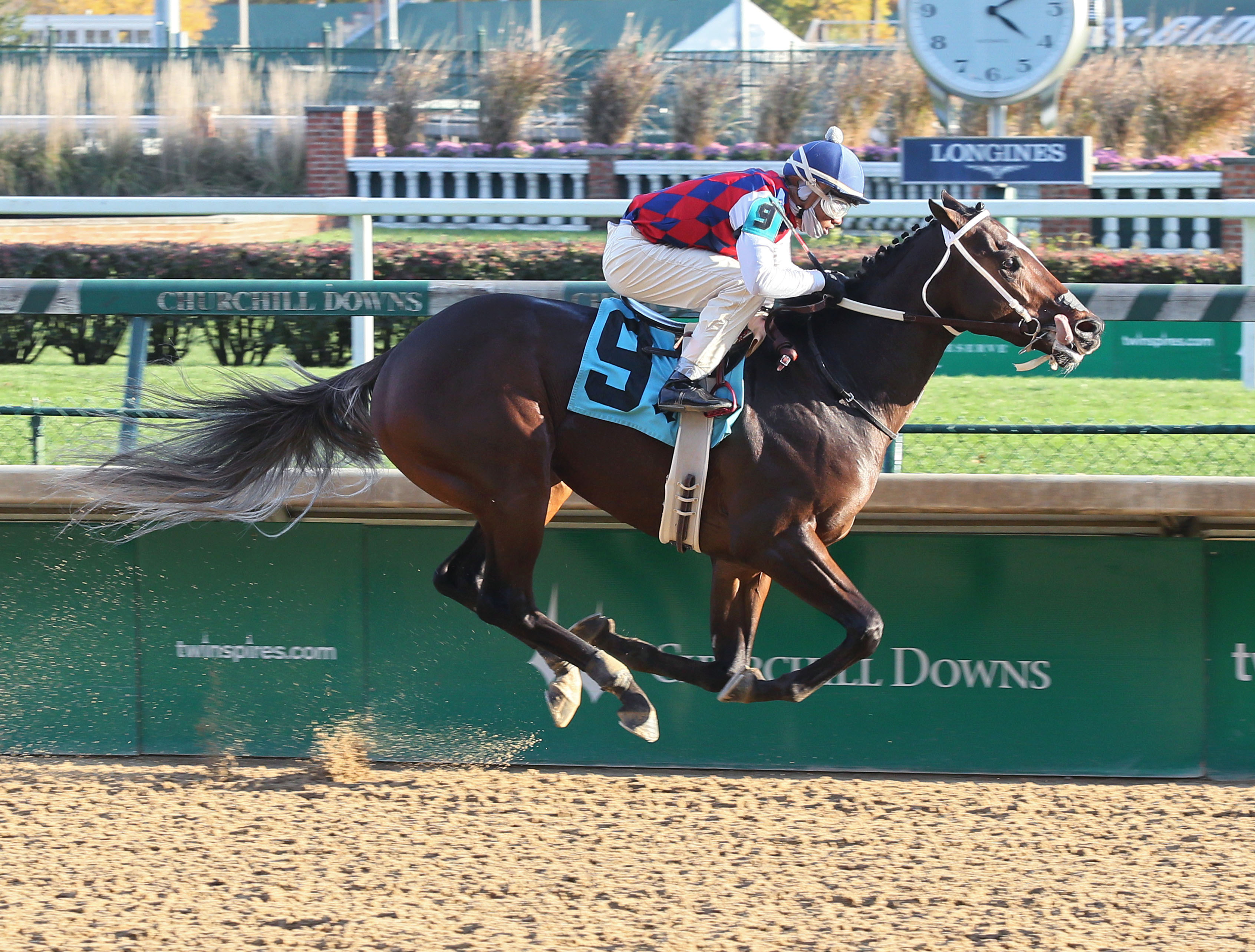 Principe Guilherme wins a Nov. 10 maiden race