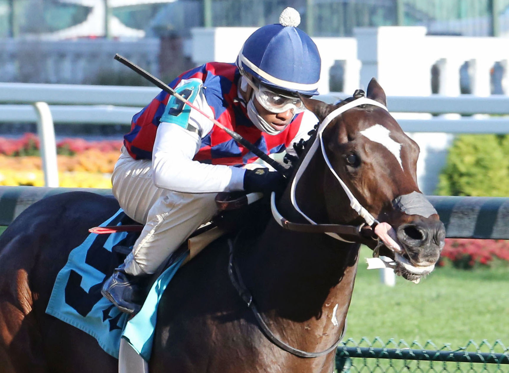 Principe Guilherme wins a Nov. 10 maiden race