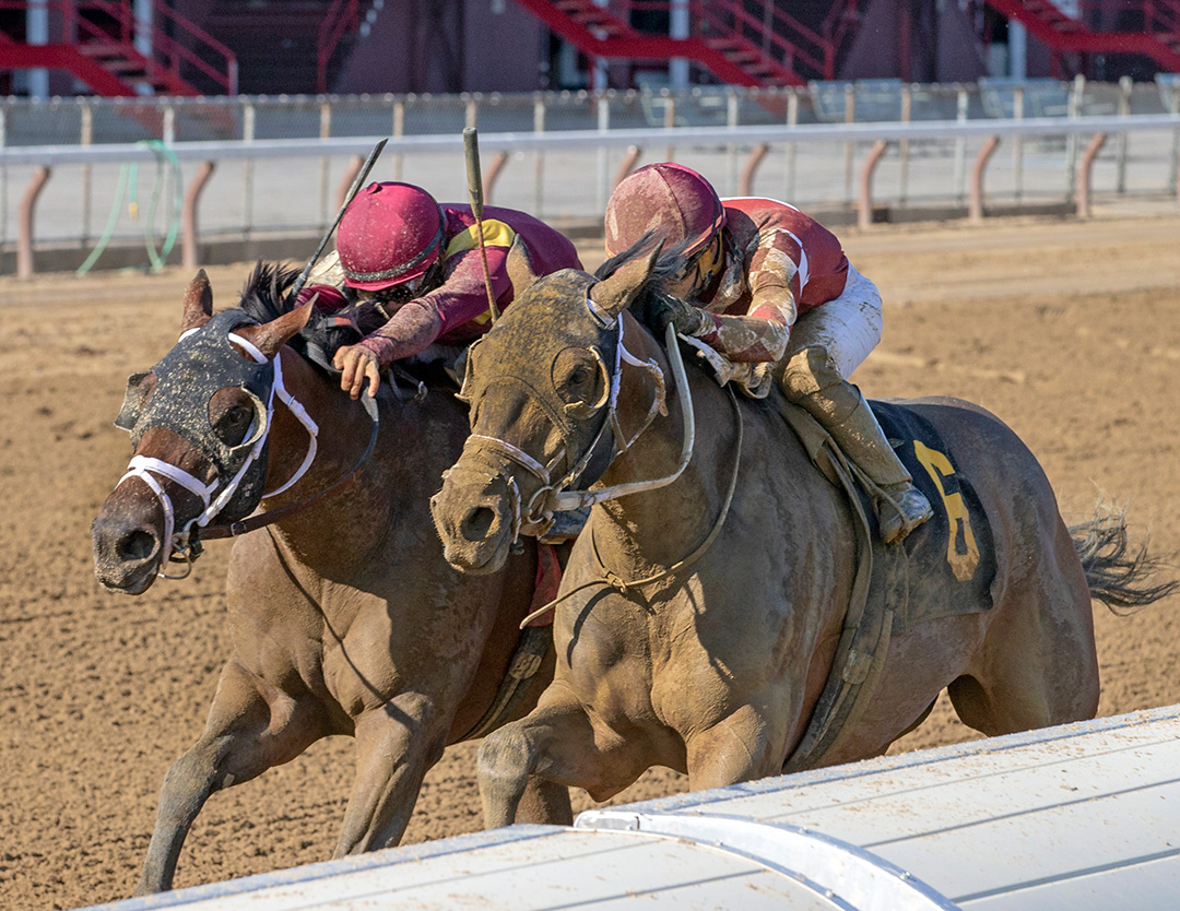 Prioritize (right) beats Money Moves by a neck in a July 25 allowance at Saratoga