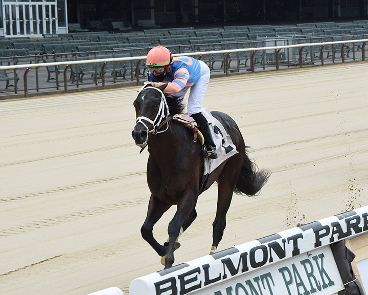 Prisoner wins a June 3 maiden race at Belmont Park