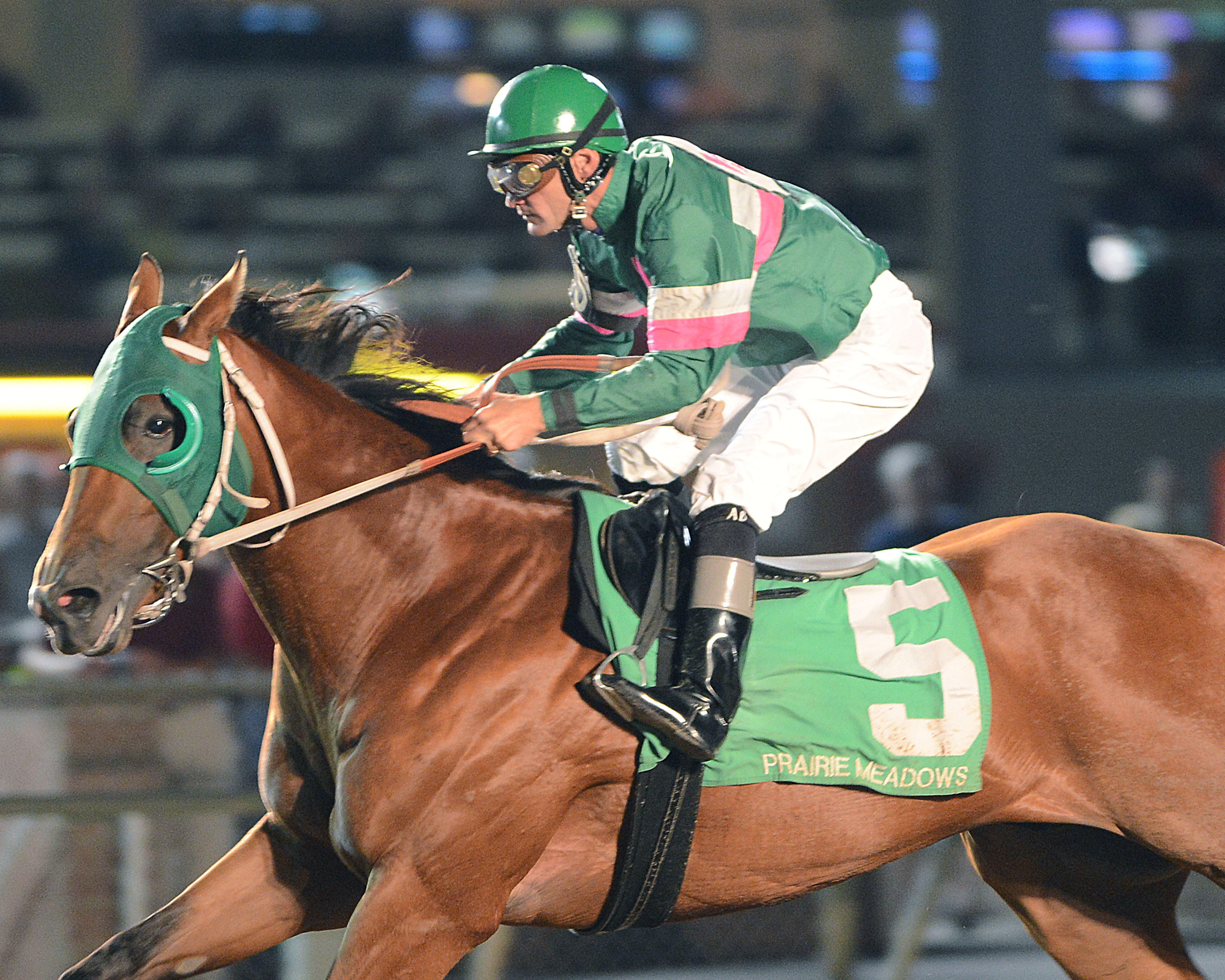 Private Prospect wins 2014 Prairie Juvenile Mile