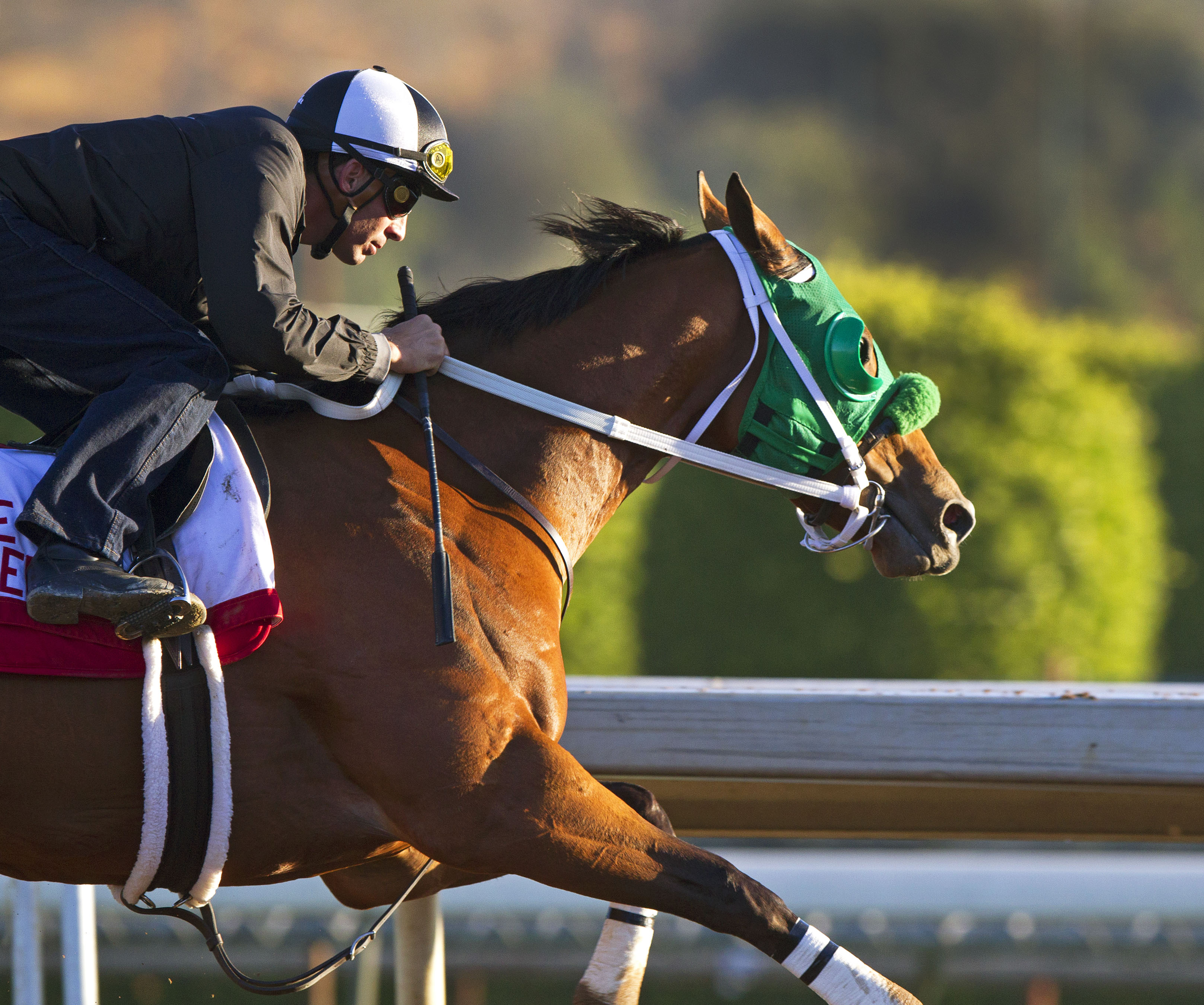 Private Prospect training for Breeders' Cup at Santa Anita