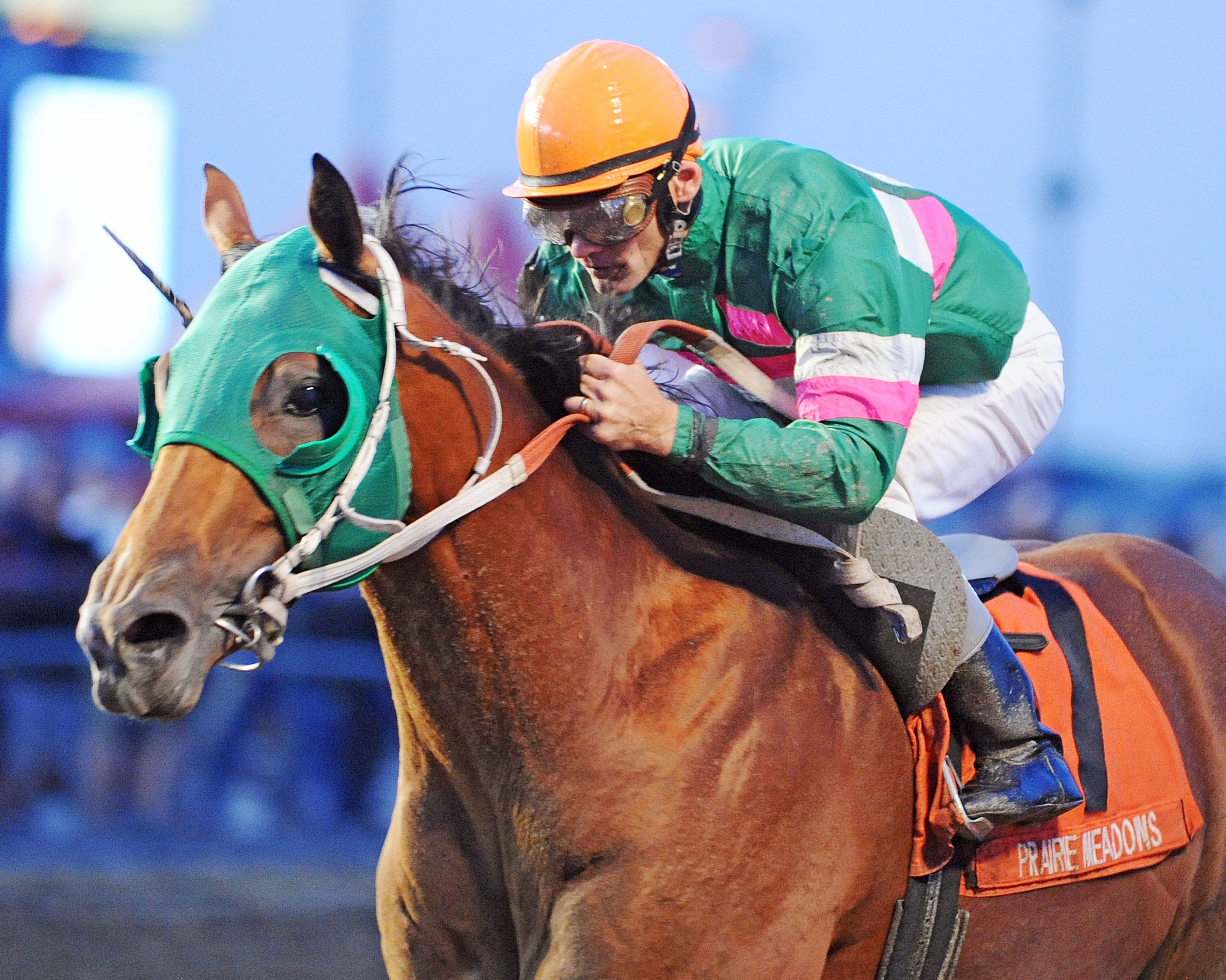 Private Prospect wins the Prairie Gold Juvenile
