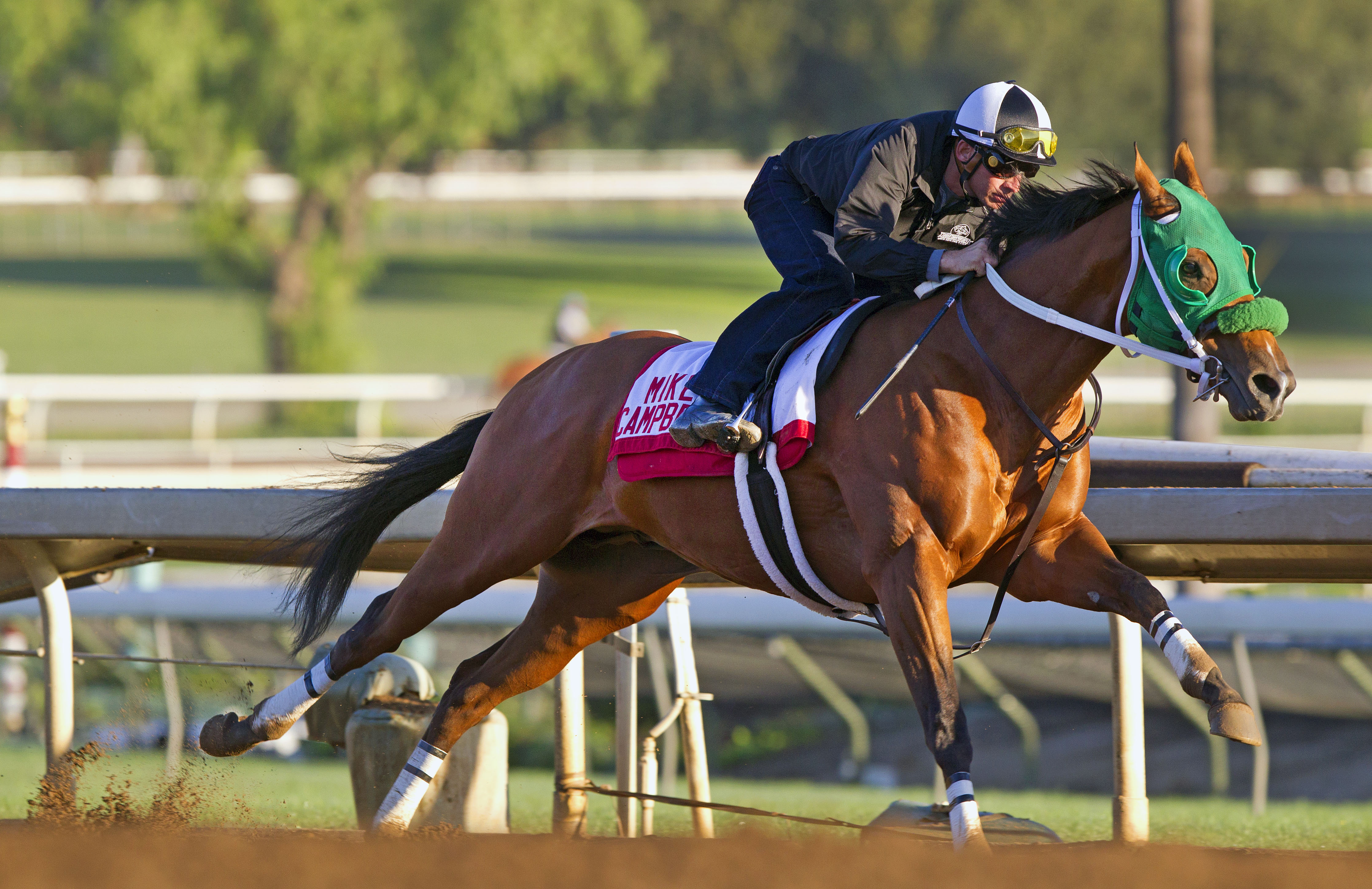 Private Prospect works at Santa Anita on Oct. 22