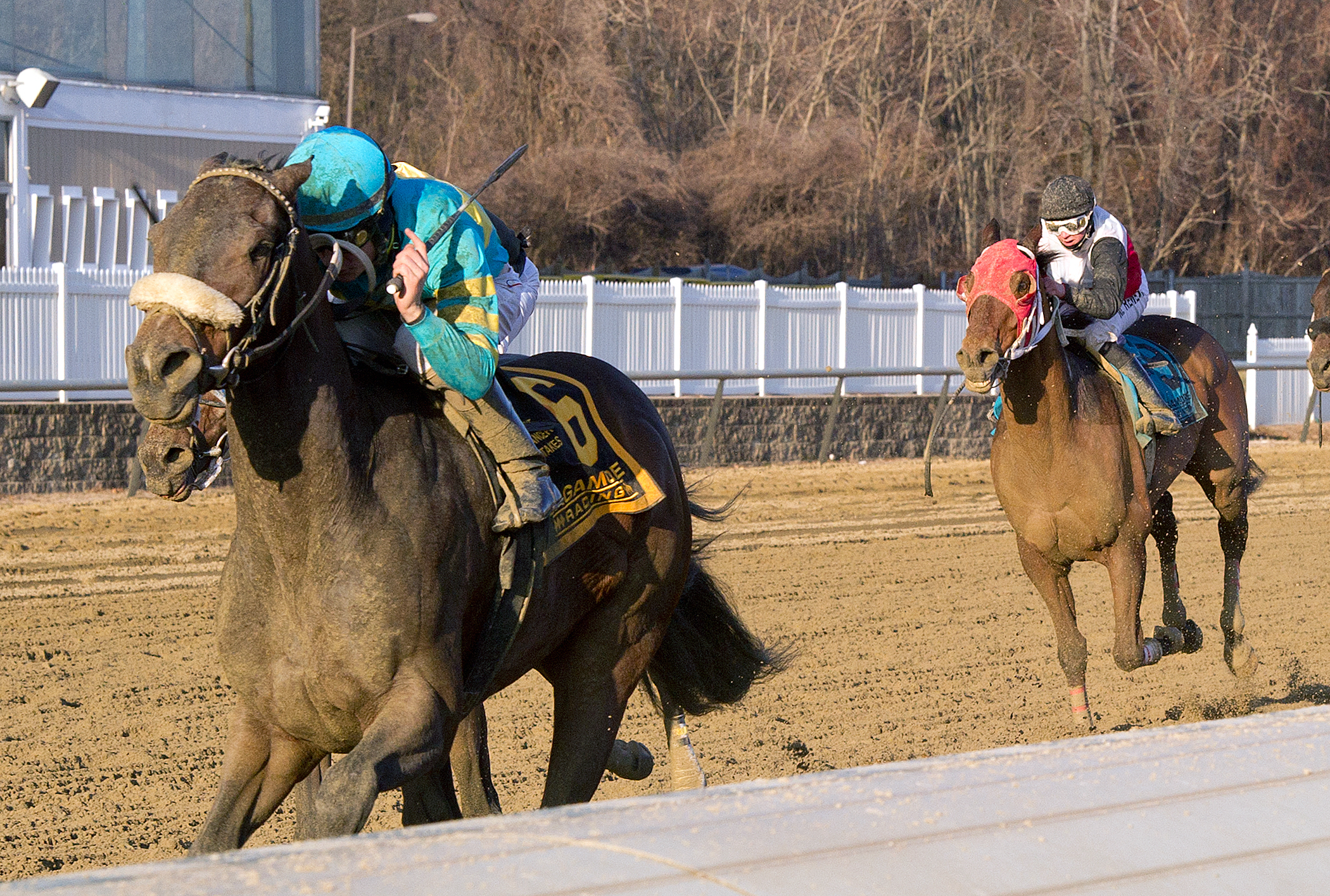 Private Tale, Native Dancer Stakes