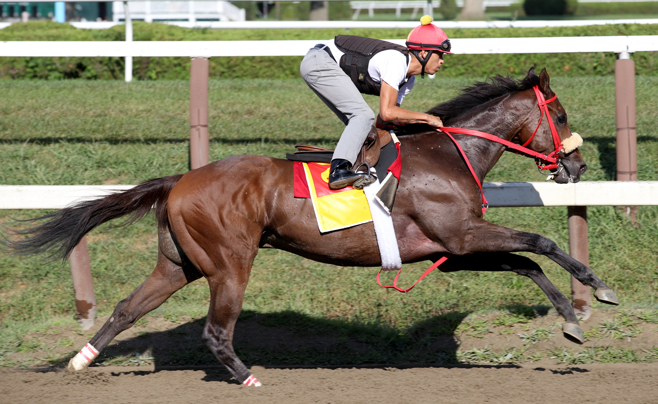 Private Zone works Aug 22 Saratoga