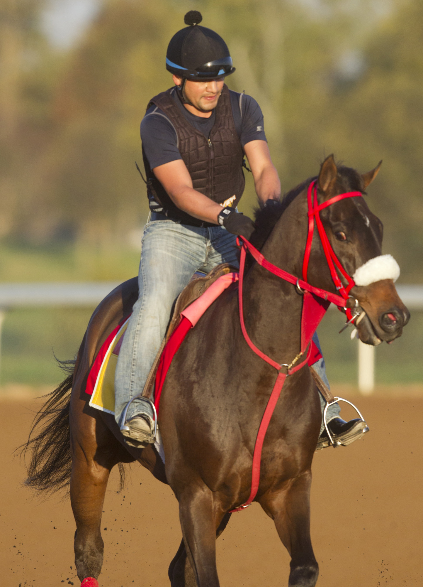 Private Zone trains on Oct. 22 at Keeneland.