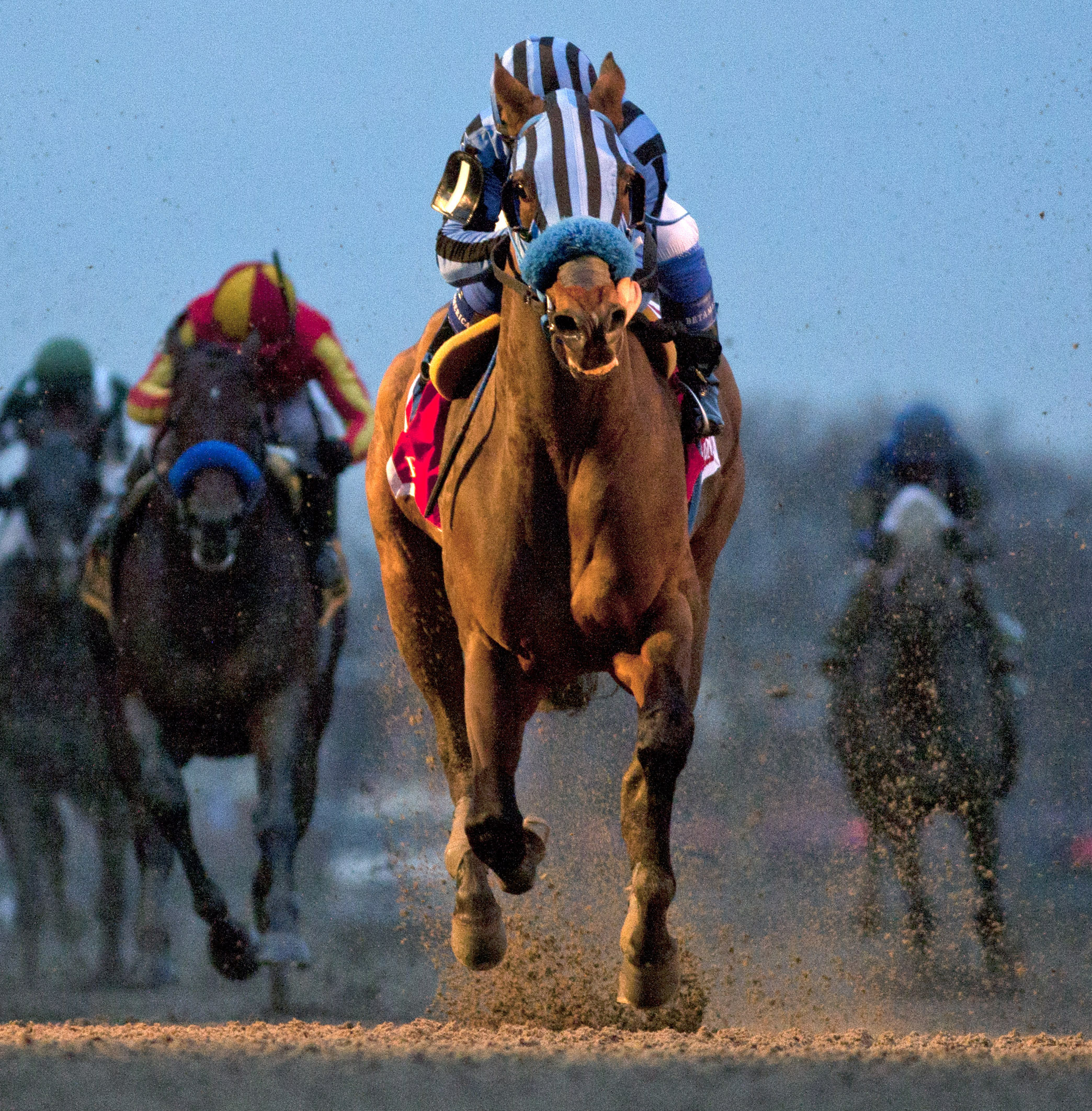 Private Zone wins the Cigar Mile