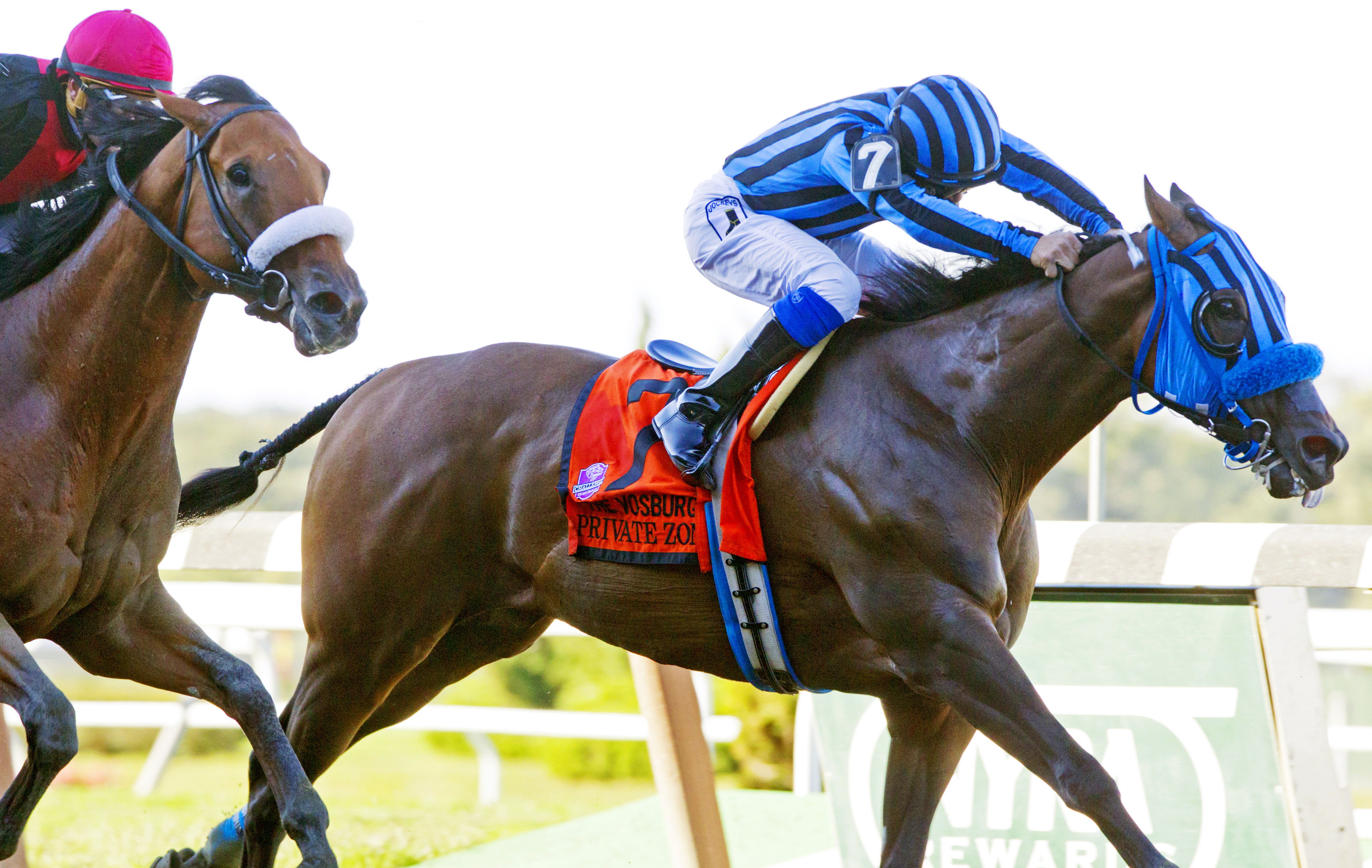 Private Zone wins the Vosburgh