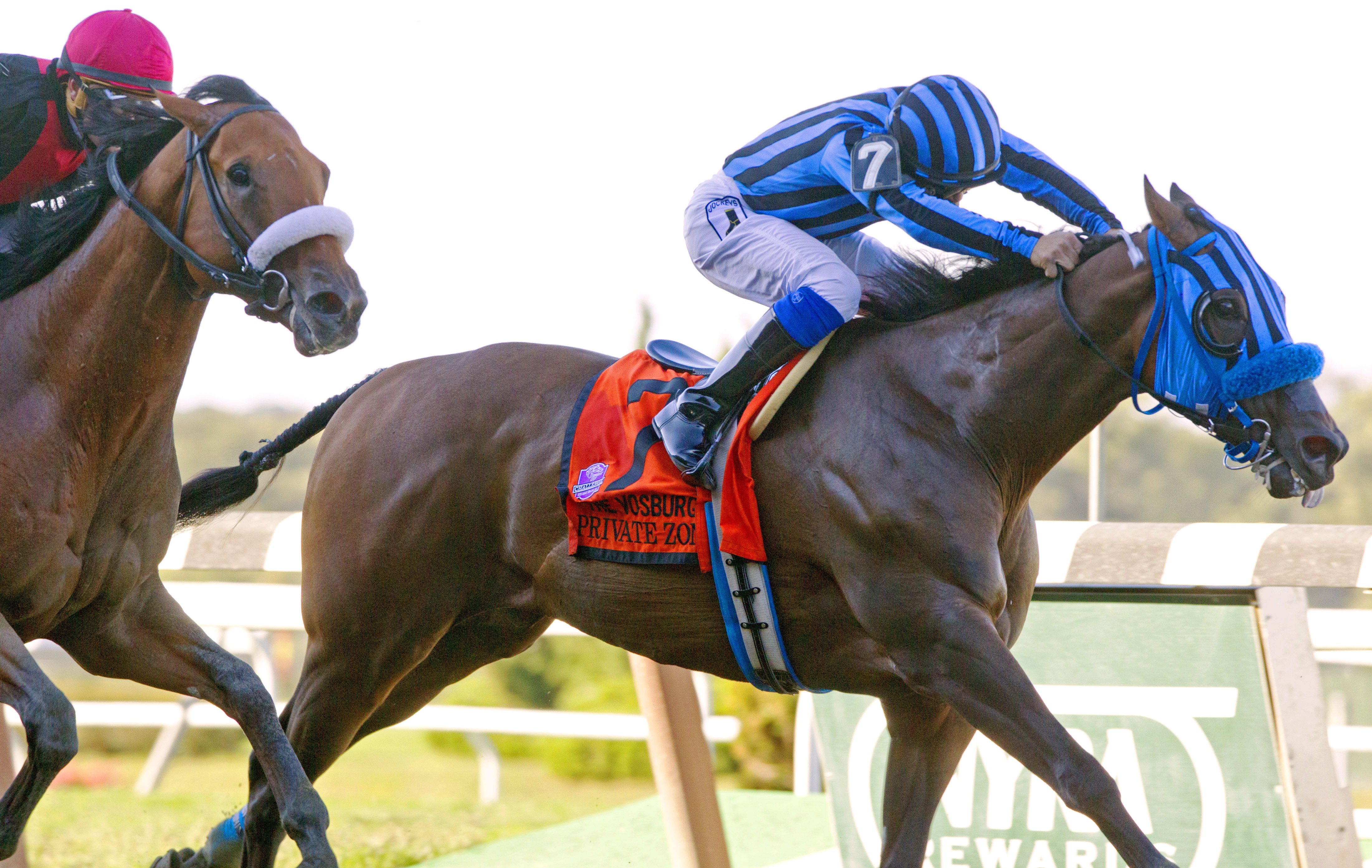 Private Zone wins the 2014 Vosburgh