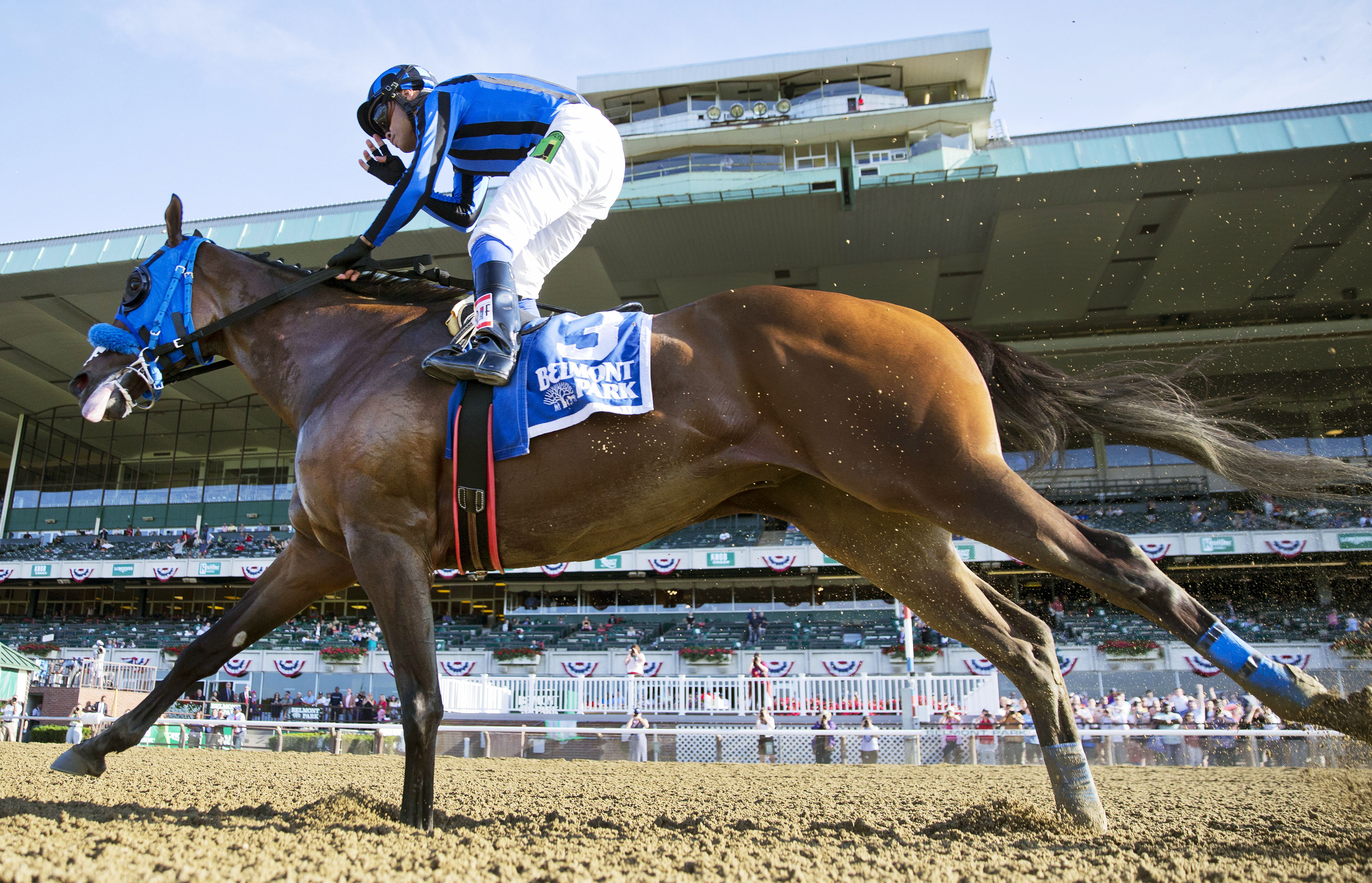 Private Zone wins the Belmont Sprint Championship