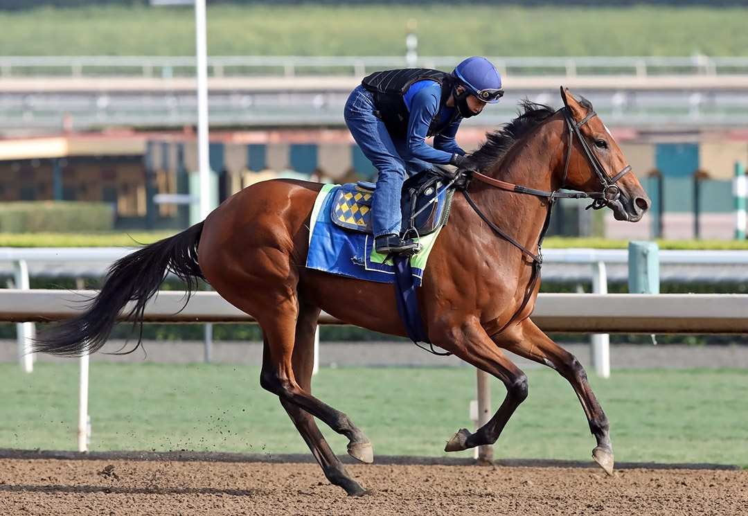 Private Mission trains at Santa Anita on Sept. 26