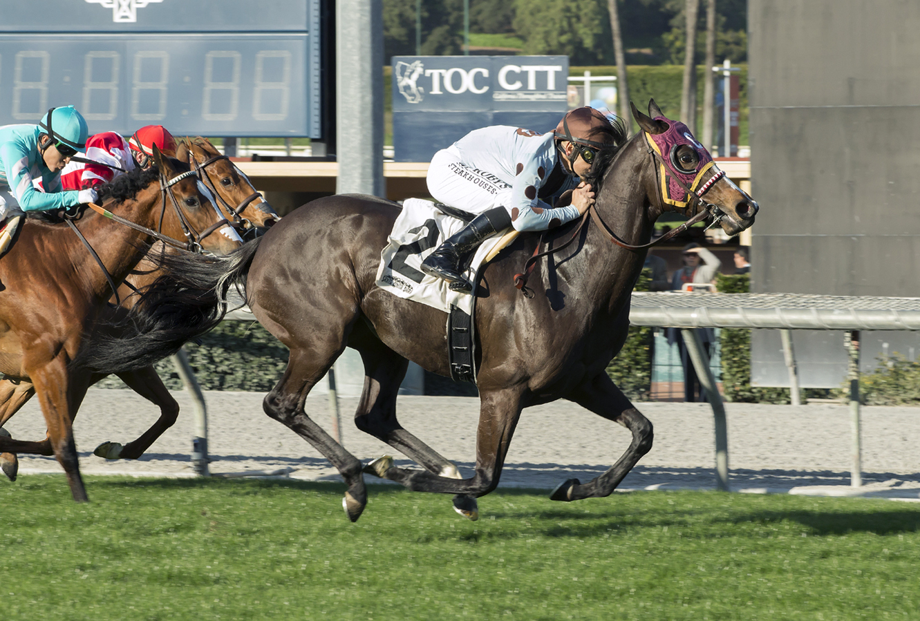 Prize Exhibit wins the Megahertz