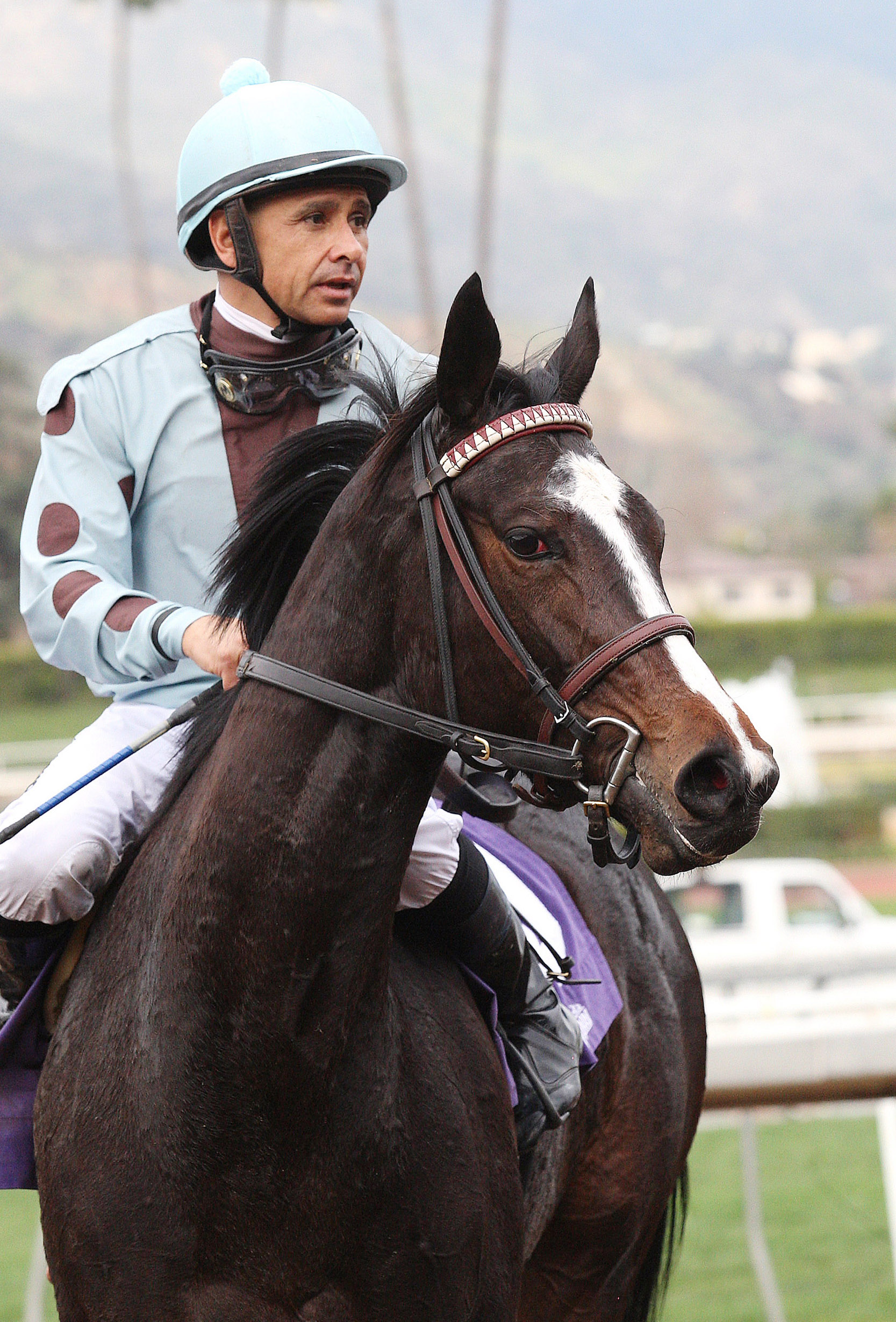 Prize Exhibit at a Santa Anita allowance race