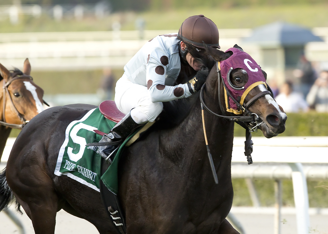 Prize Exhibit wins the Monrovia Stakes