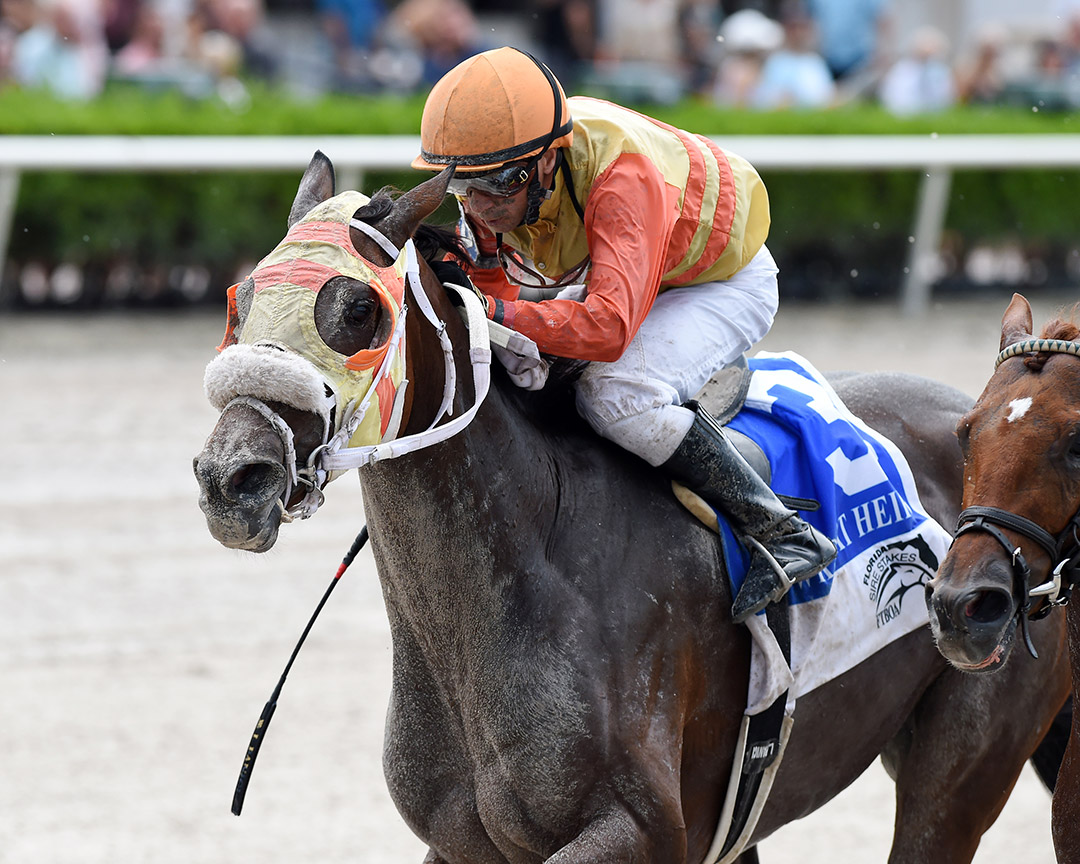 Pro Quality wins the 2021 Florida Sire Wildcat Heir Stakes at Gulfstream Park
