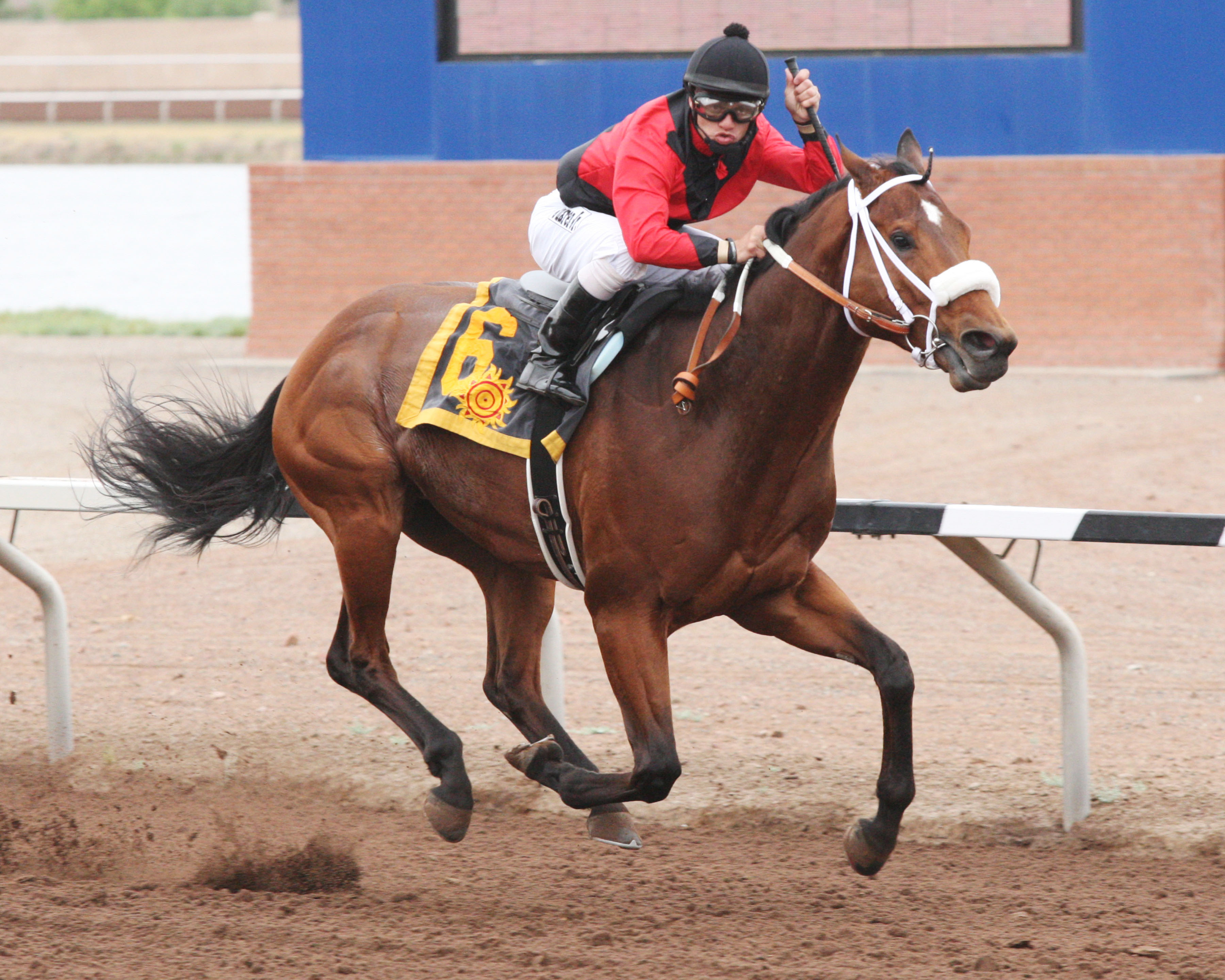 Proceed wins the Sunland Park Handicap