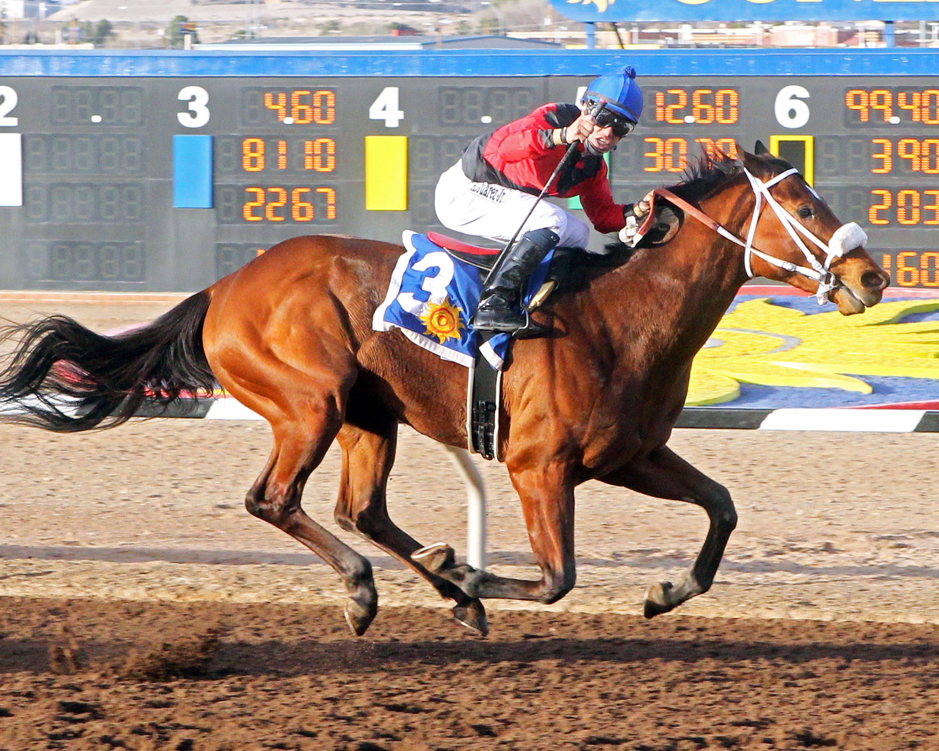 Proceed wins the Mine That Bird Derby