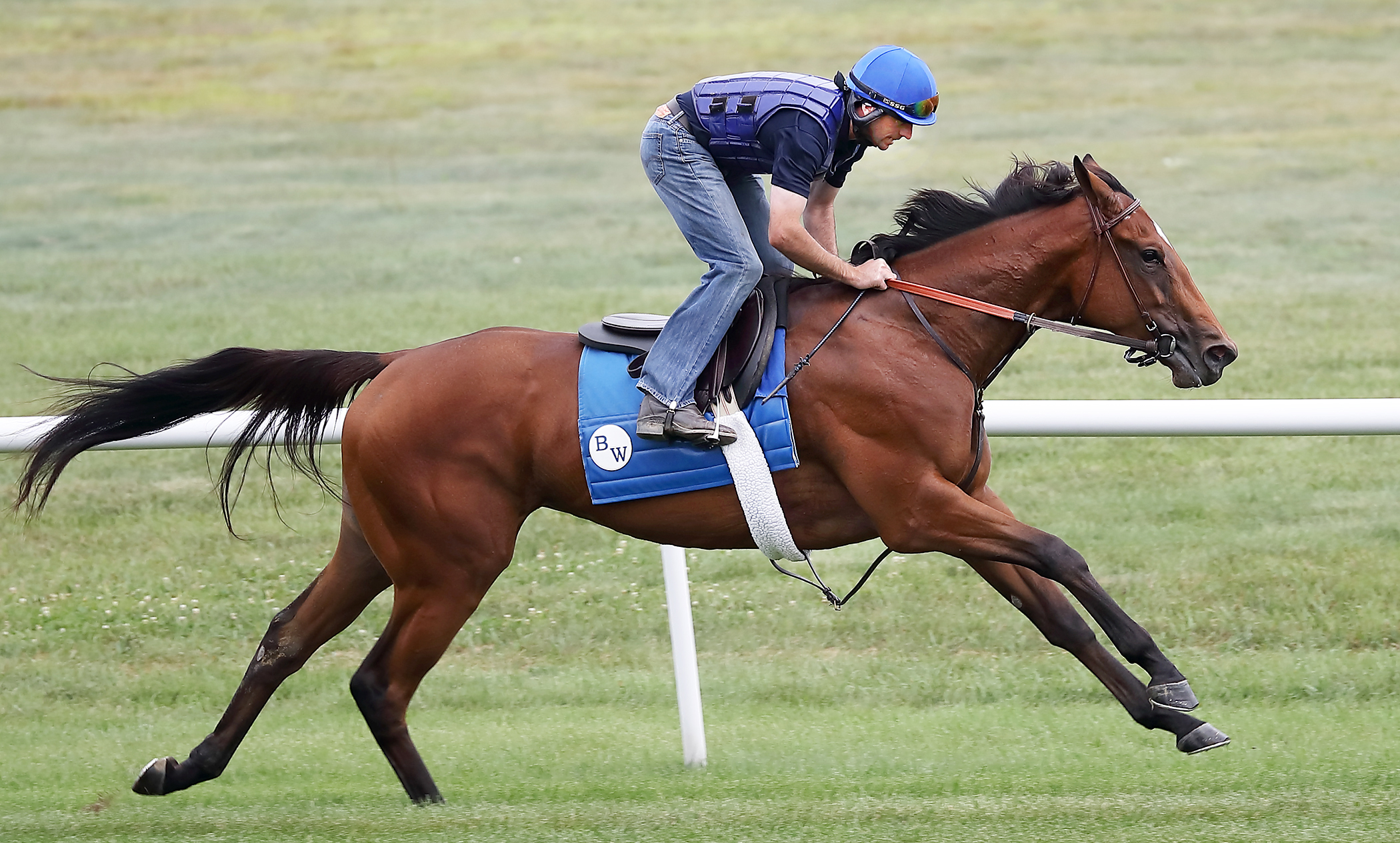 Proctor's Ledge trains at Saratoga on Aug. 11