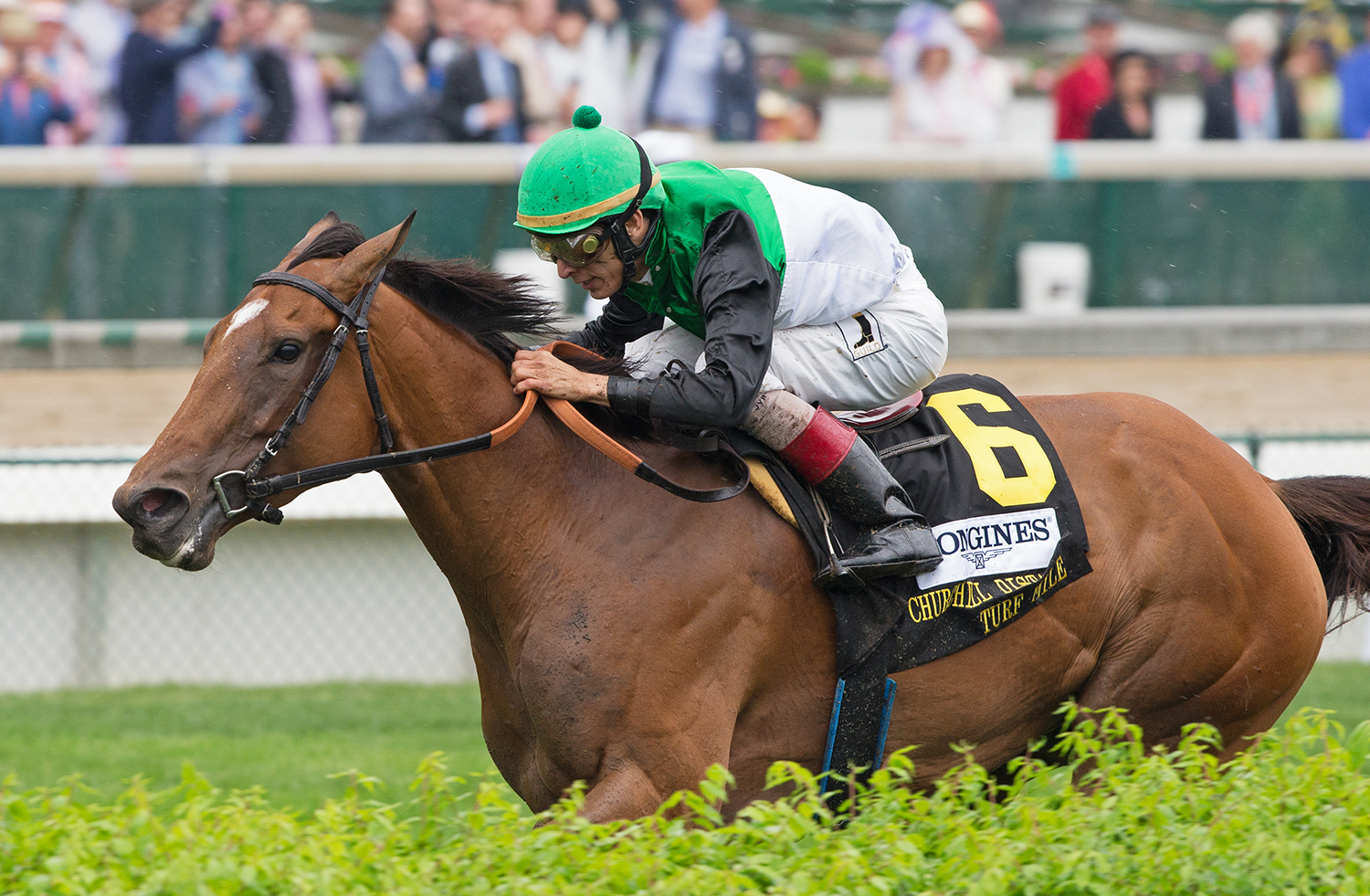 Proctor's Ledge wins the Churchill Distaff Turf Mile