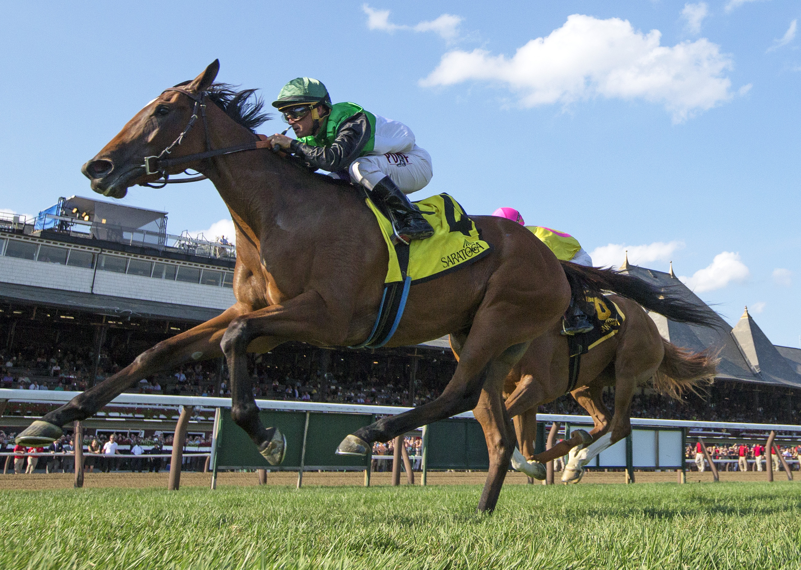 Proctor's Ledge wins the Lake Placid at Saratoga 8.19.17
