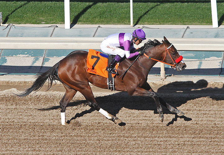 Prodigal Son wins a Feb. 16 maiden race at Santa Anita