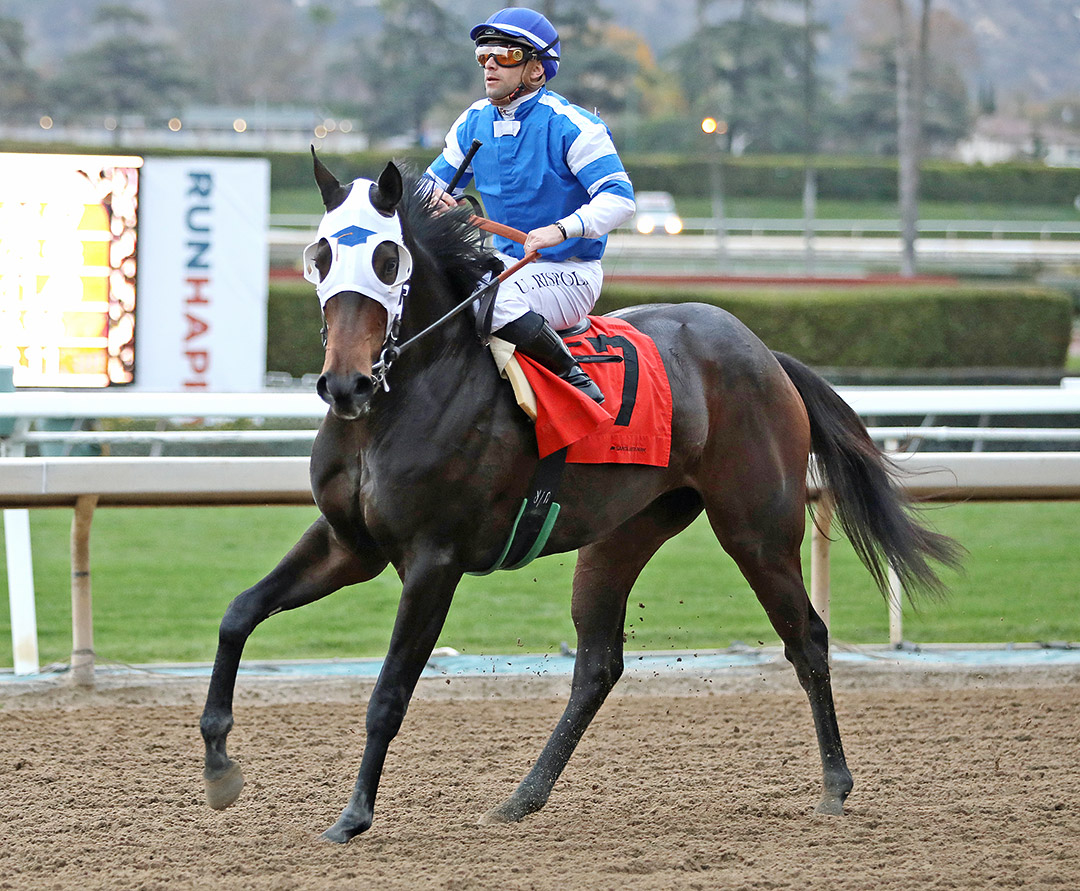 Professors' Pride at Santa Anita on Jan. 15