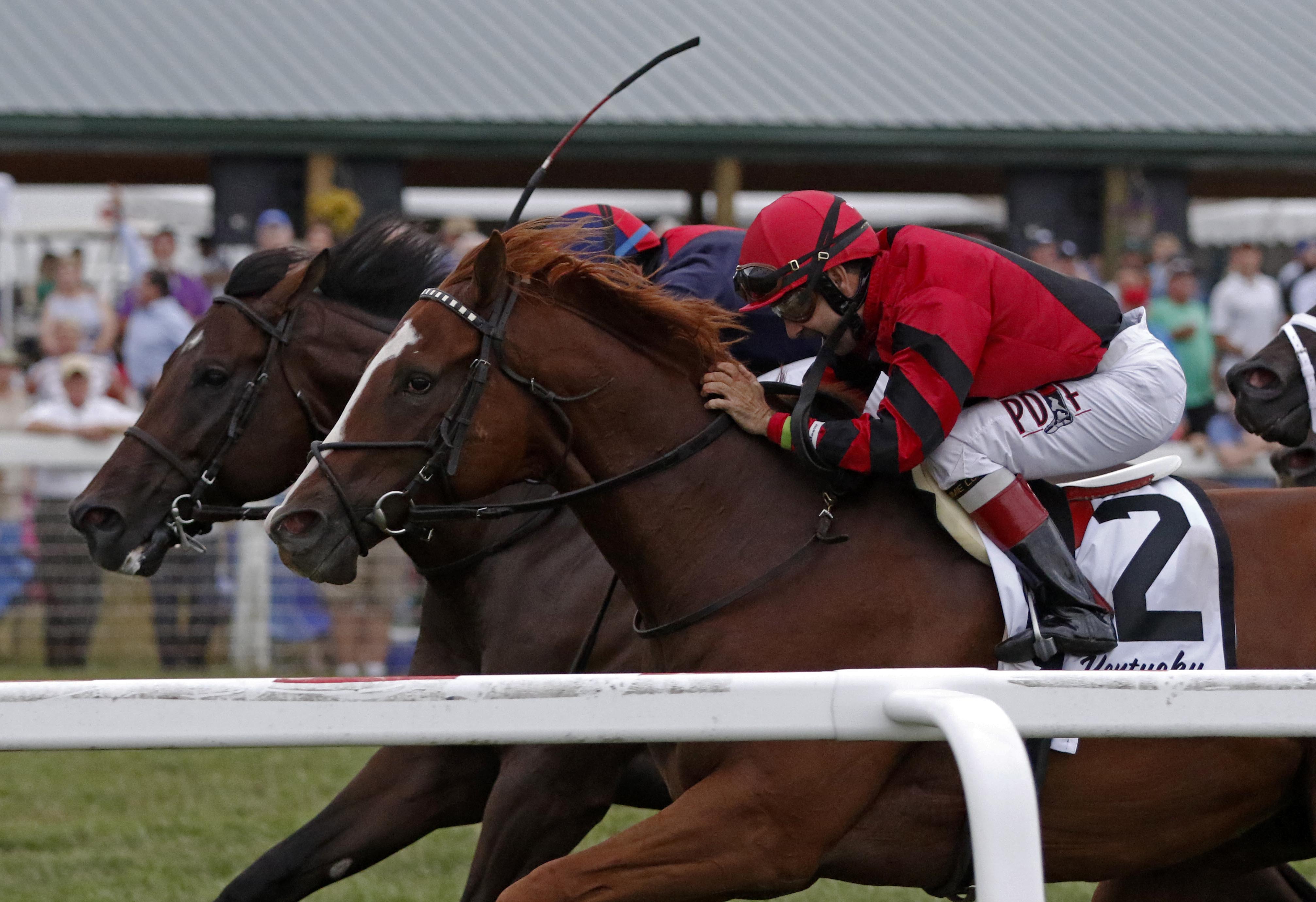 Proforma (No. 2) wins the 2018 Kentucky Downs Turf Sprint